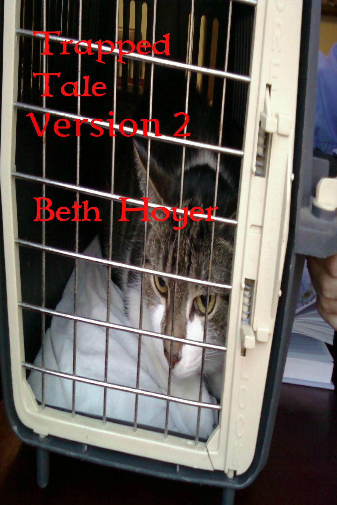 Trapped Tale Version 2