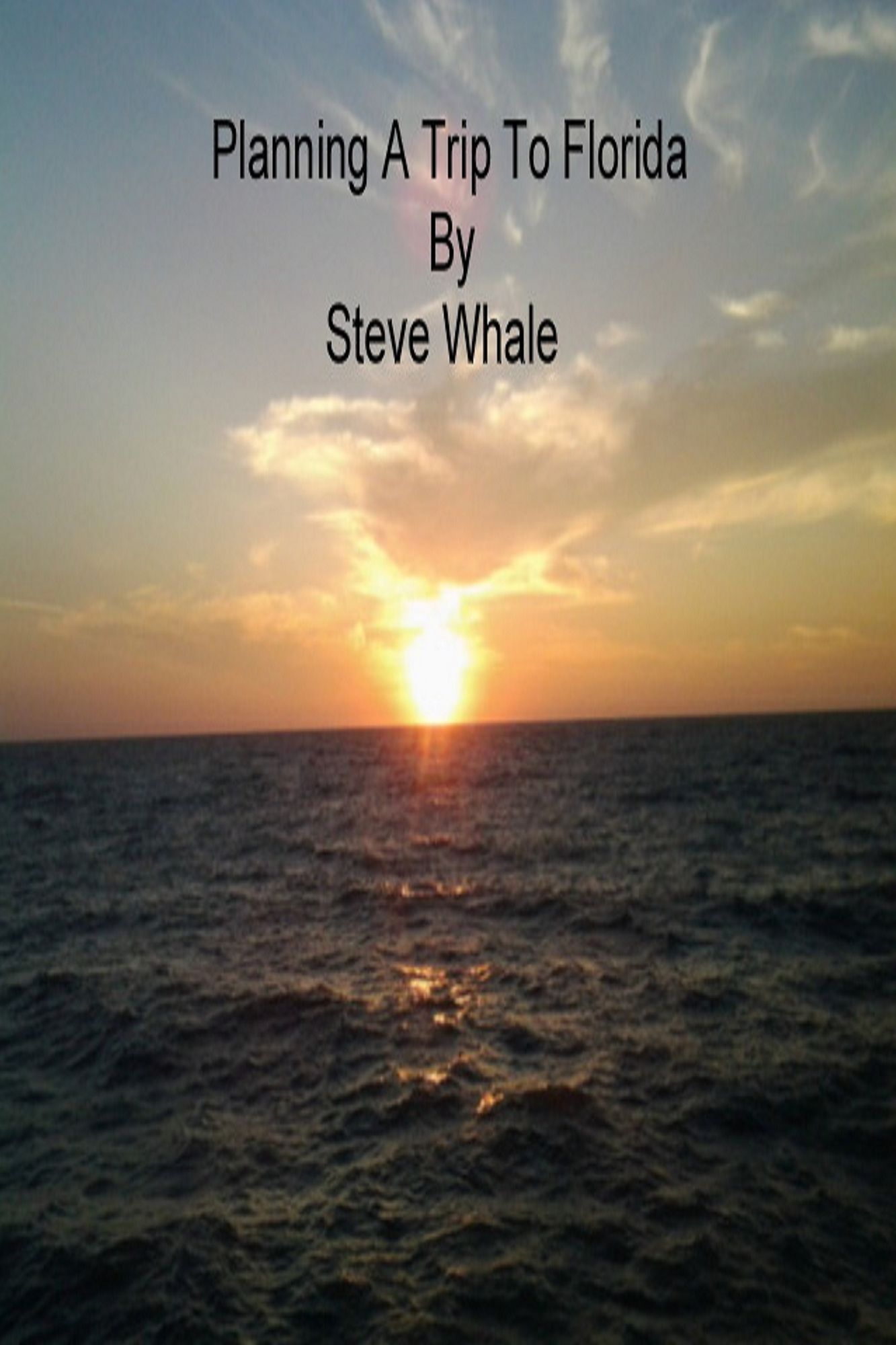 Planning a Trip To Florida?