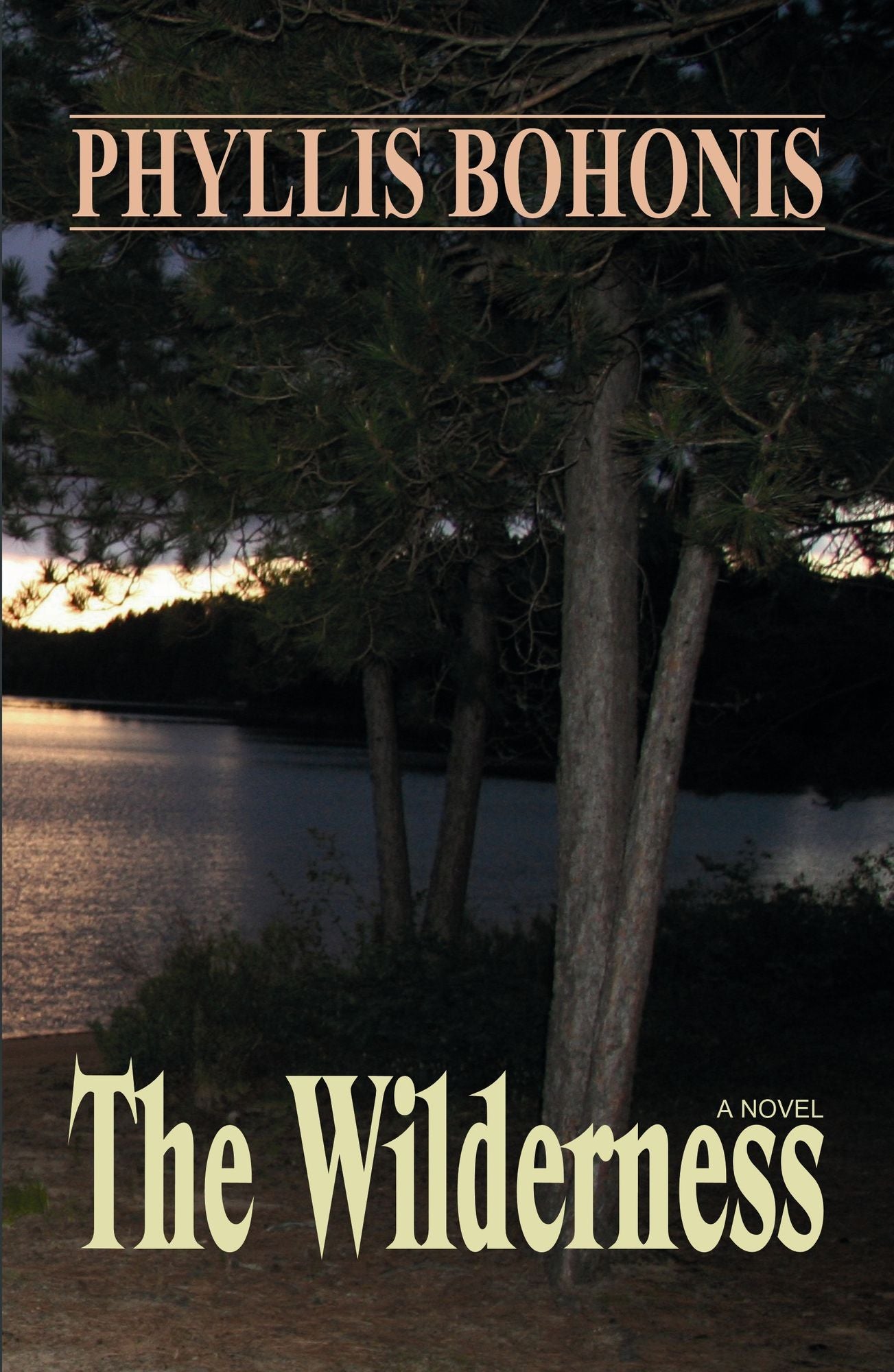 The Wilderness
