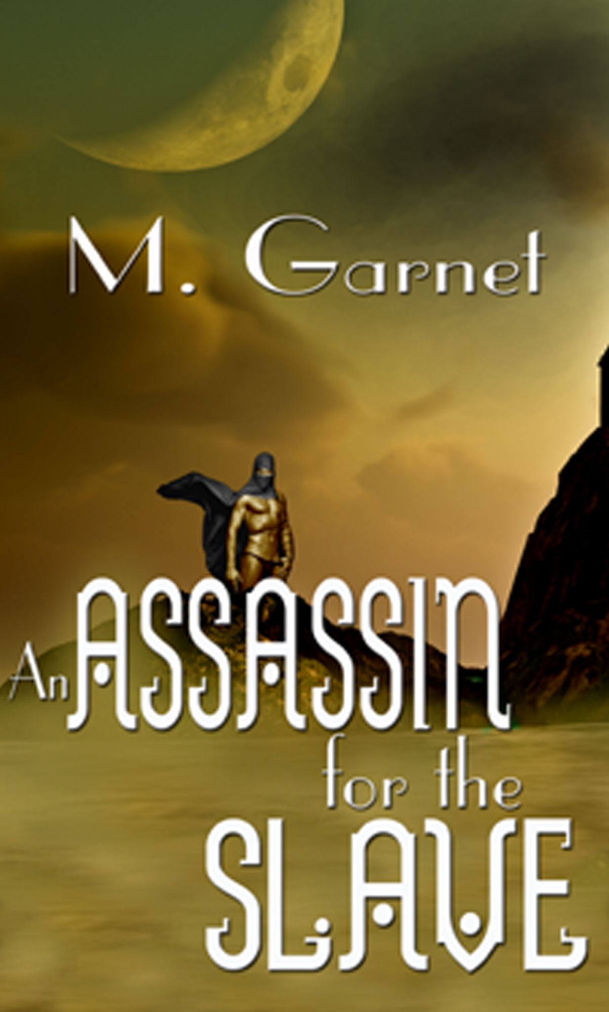 An Assassin for the Slave