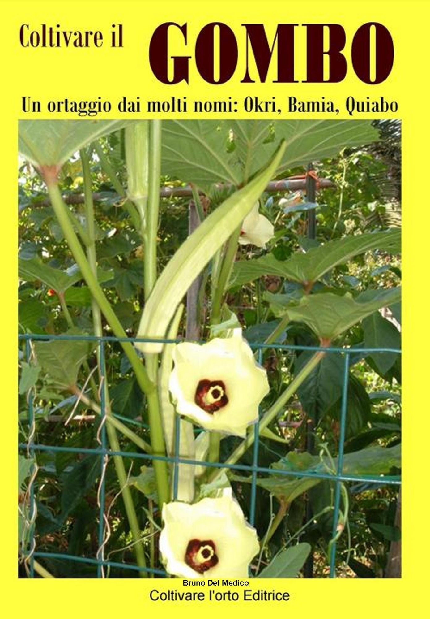 Coltivare il Gombo. Un ortaggio dai molti nomi: Okri, Bamia, Quiabo