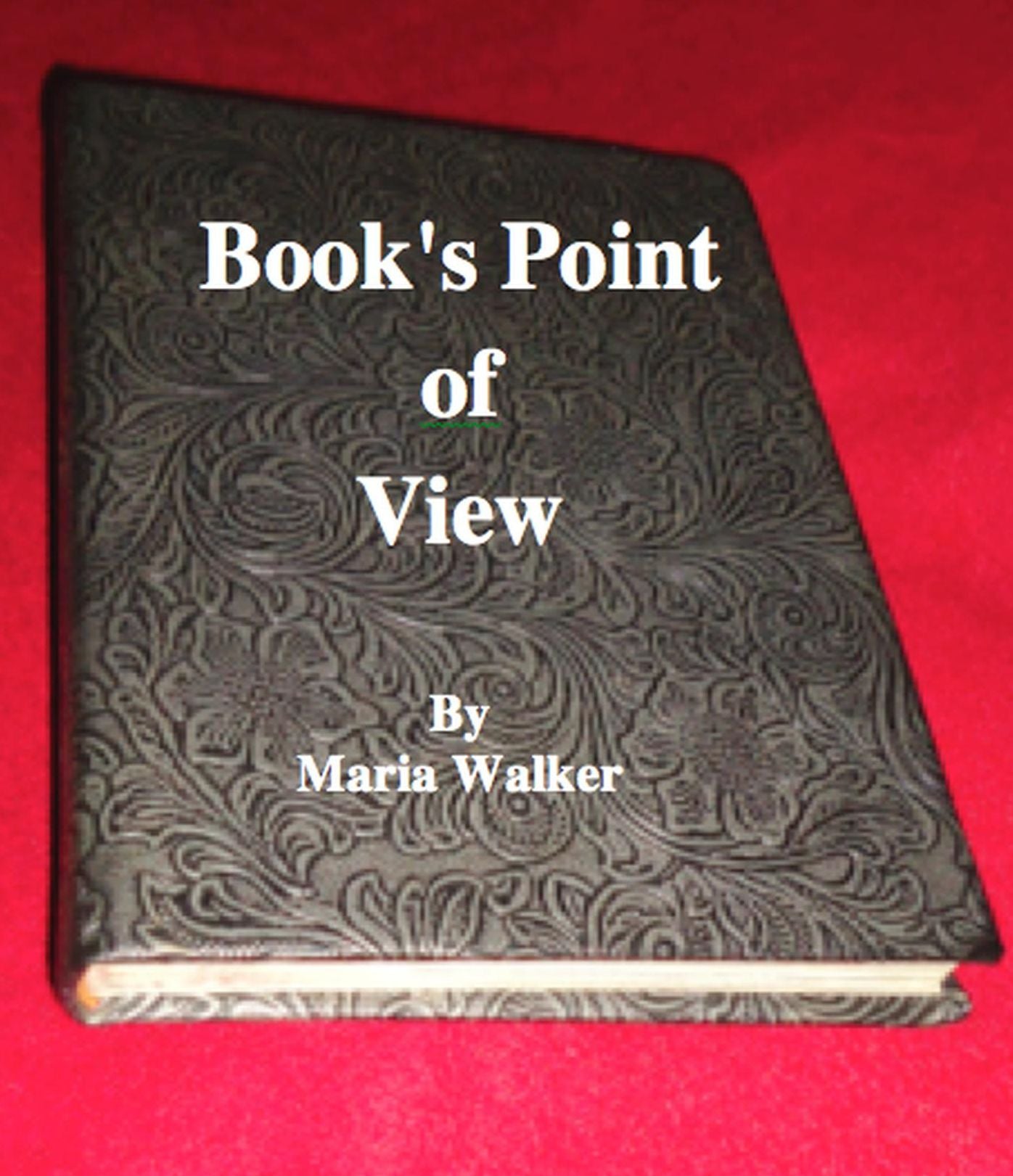 Book's Point of View