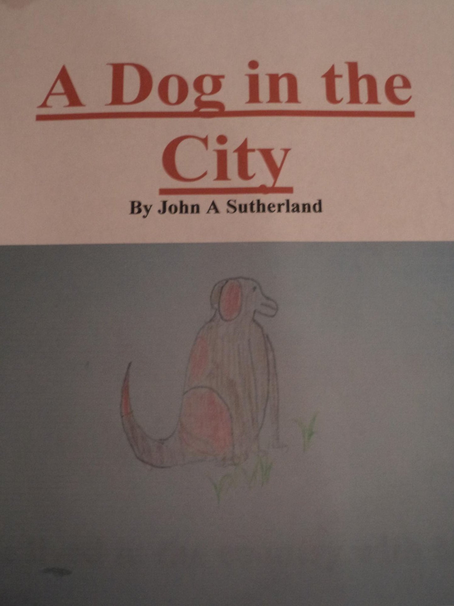 A Dog in the City By John A Sutherland