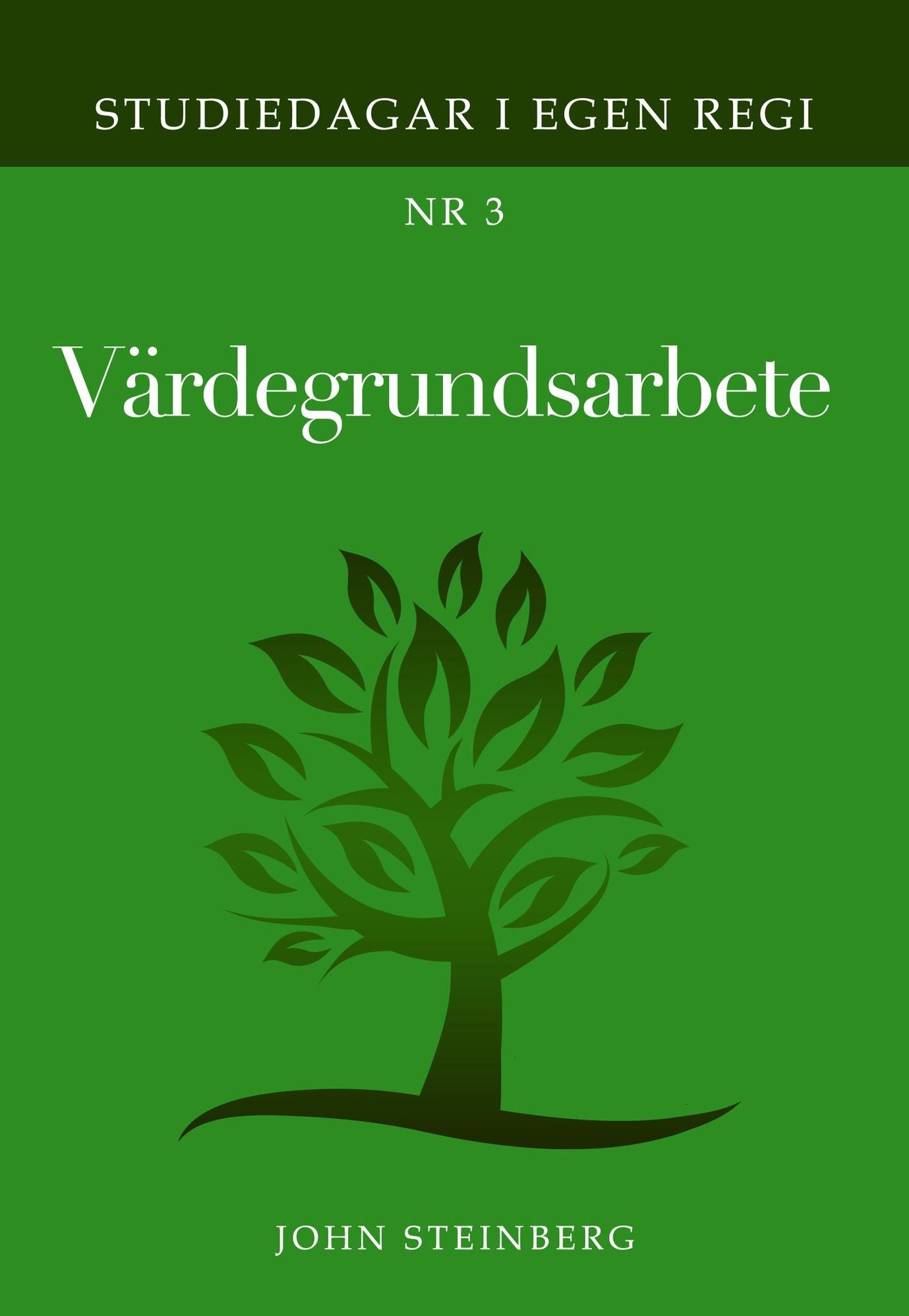 Värdegrundsarbete: Nr 3 i serien Studiedagar i egen regi