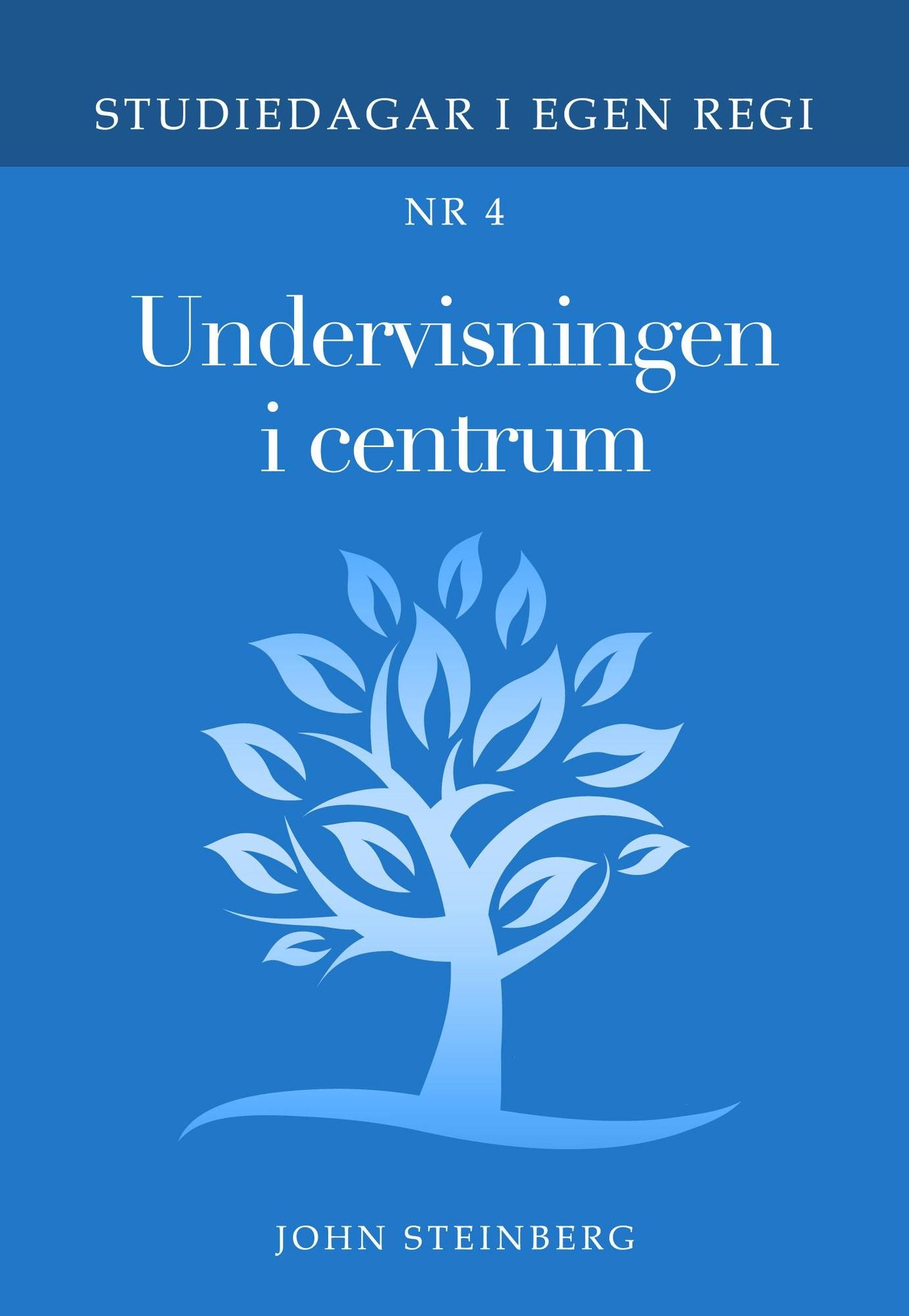 Undervisningen i centrum: Nr 4 i serien Studiedagar i egen regi