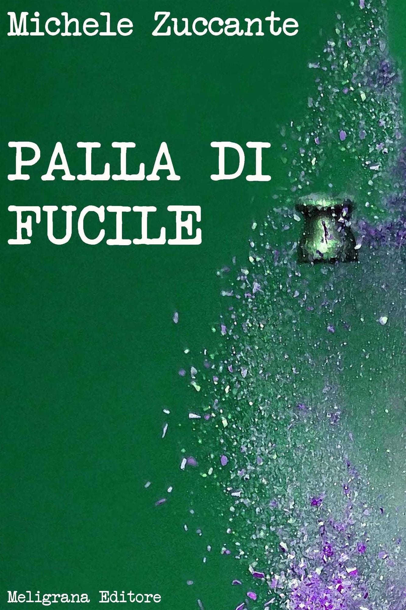 Palla di fucile