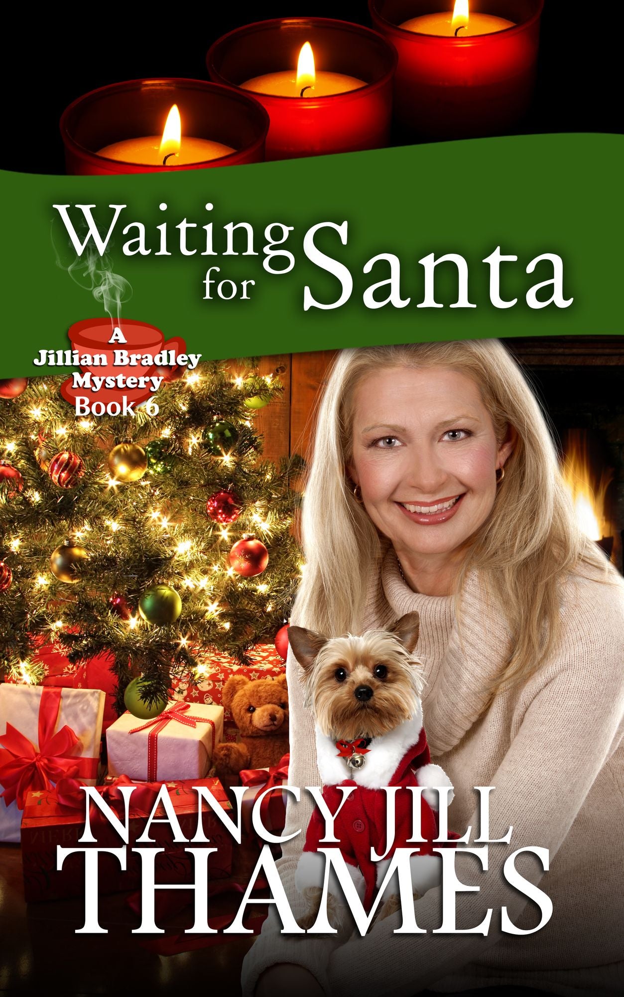 Waiting for Santa, Book 6