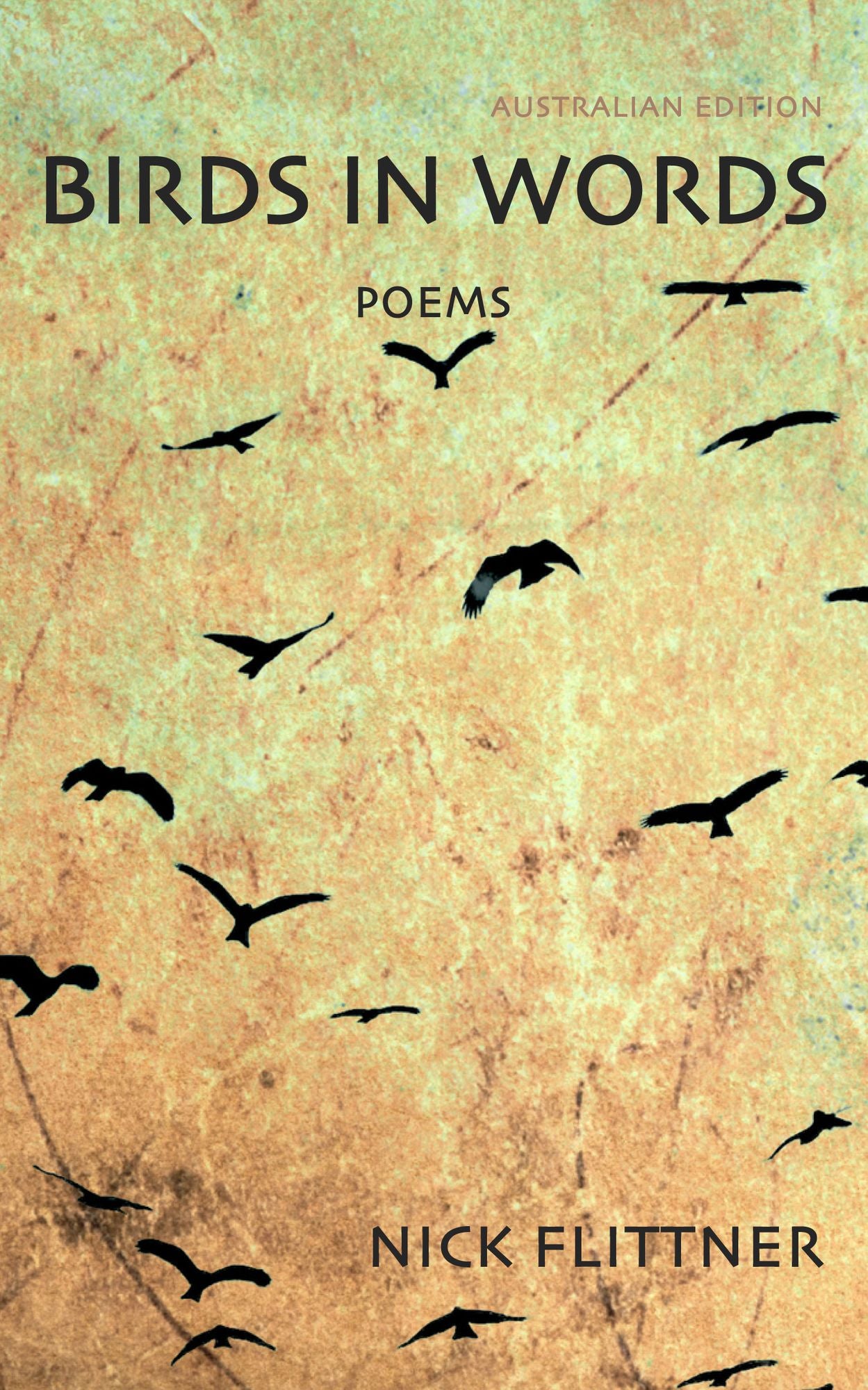 Birds In Words: Poems