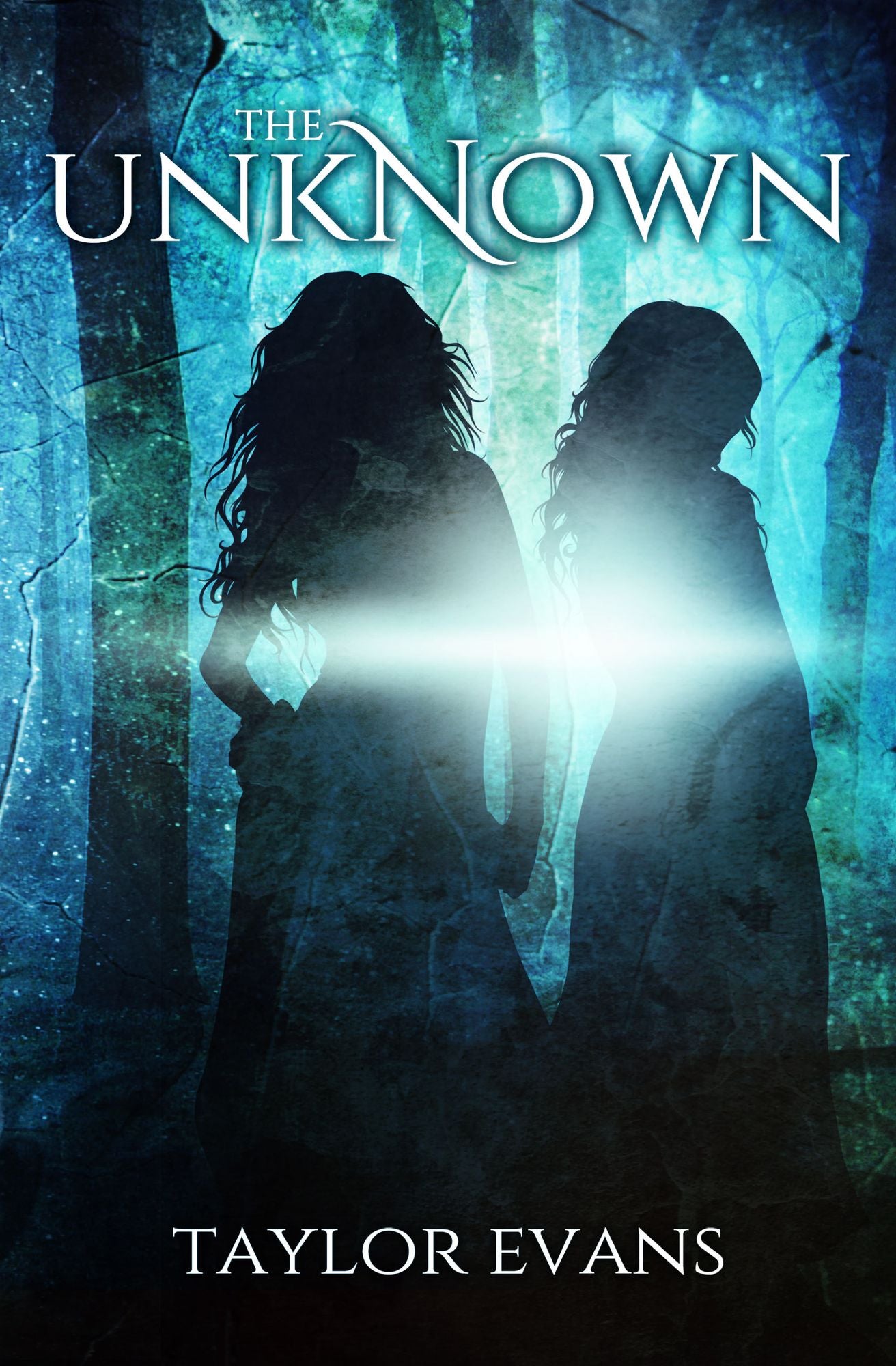 The Unknown (The Sorcerers' Prophecy Book 1)