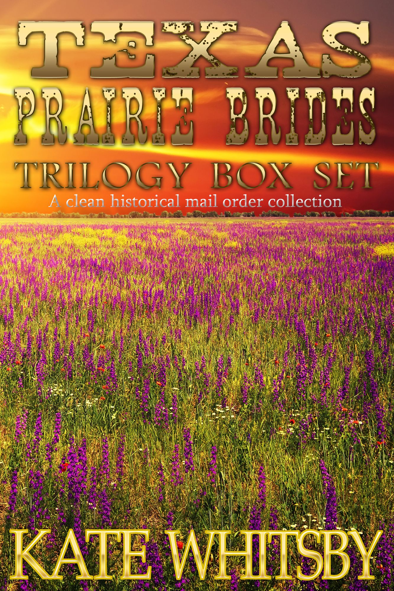 Texas Prairie Brides Trilogy Box Set: A Clean Historical Mail Order Collection