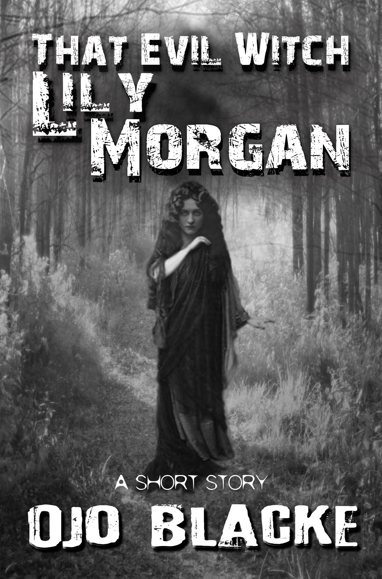 That Evil Witch Lily Morgan: A Short Story