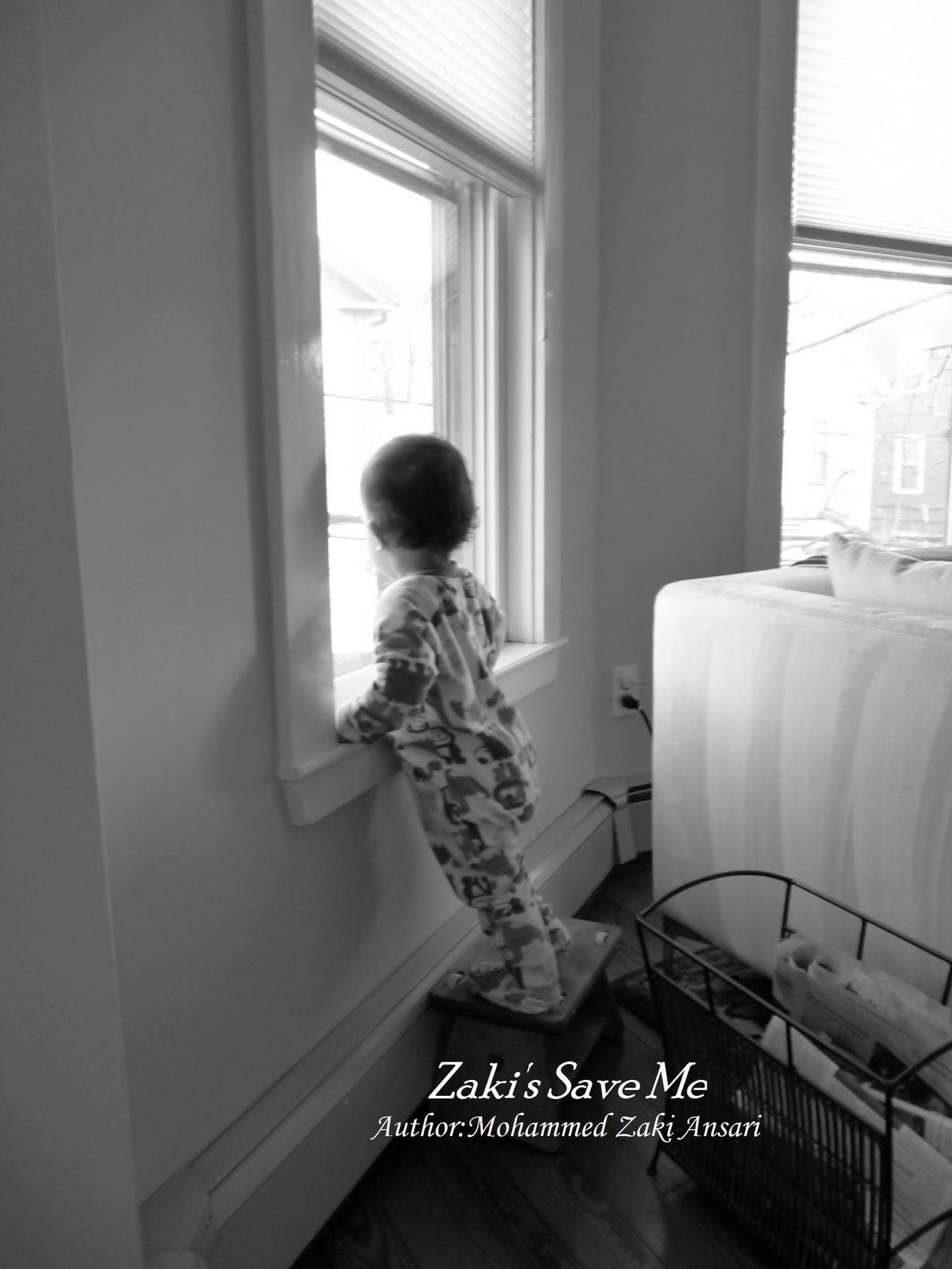 Zakis Save Me