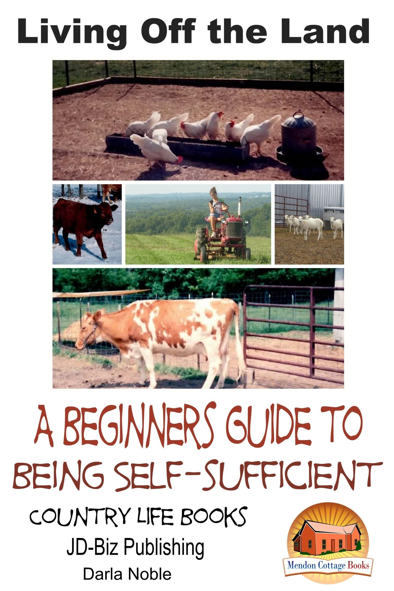 Living Off the Land: A Beginner's Guide to Being Self-sufficient