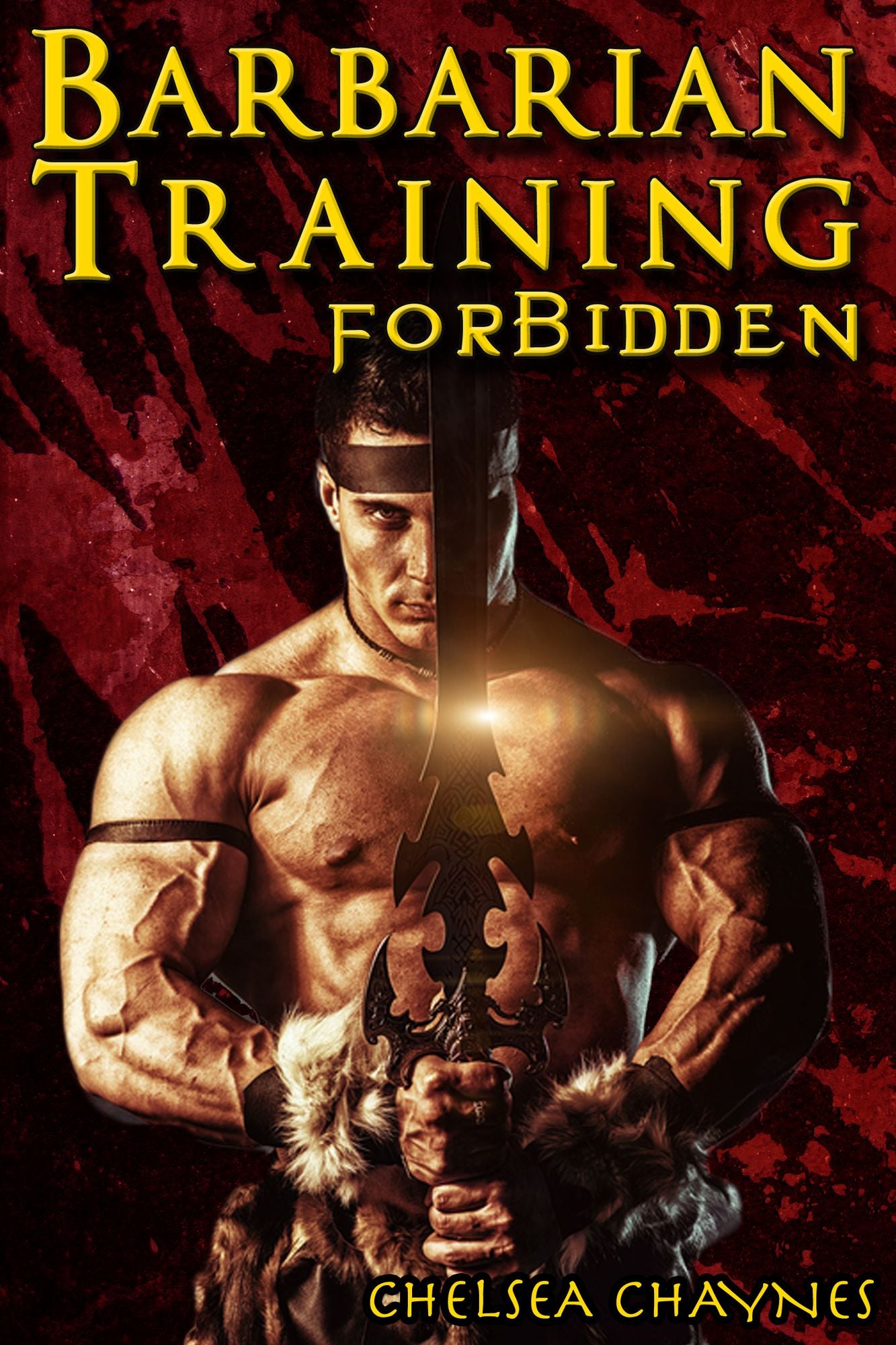 The Barbarian's Training - Forbidden (#1) (Medieval BDSM Erotica / Barbarian Erotica)