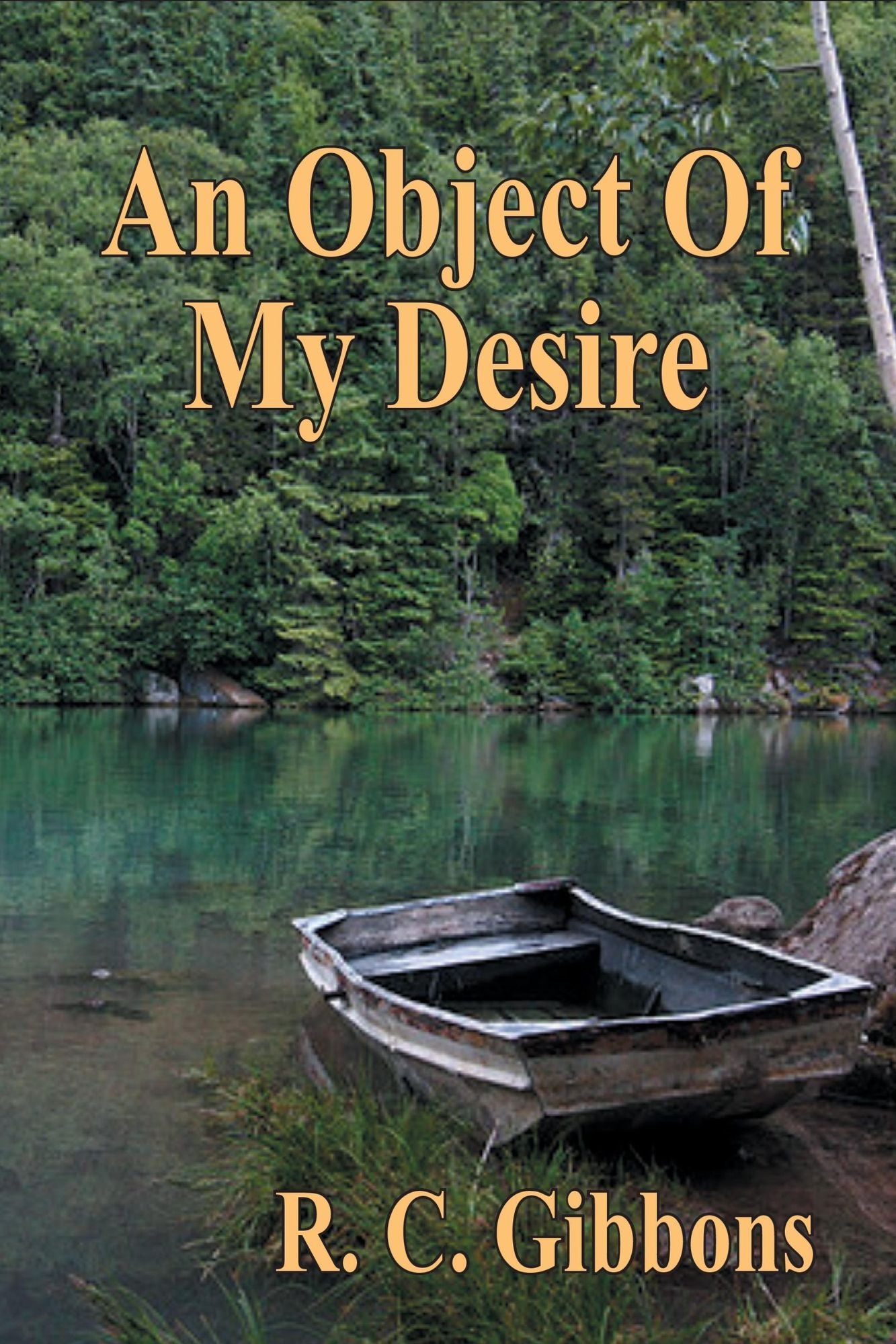 An Object Of My Desire
