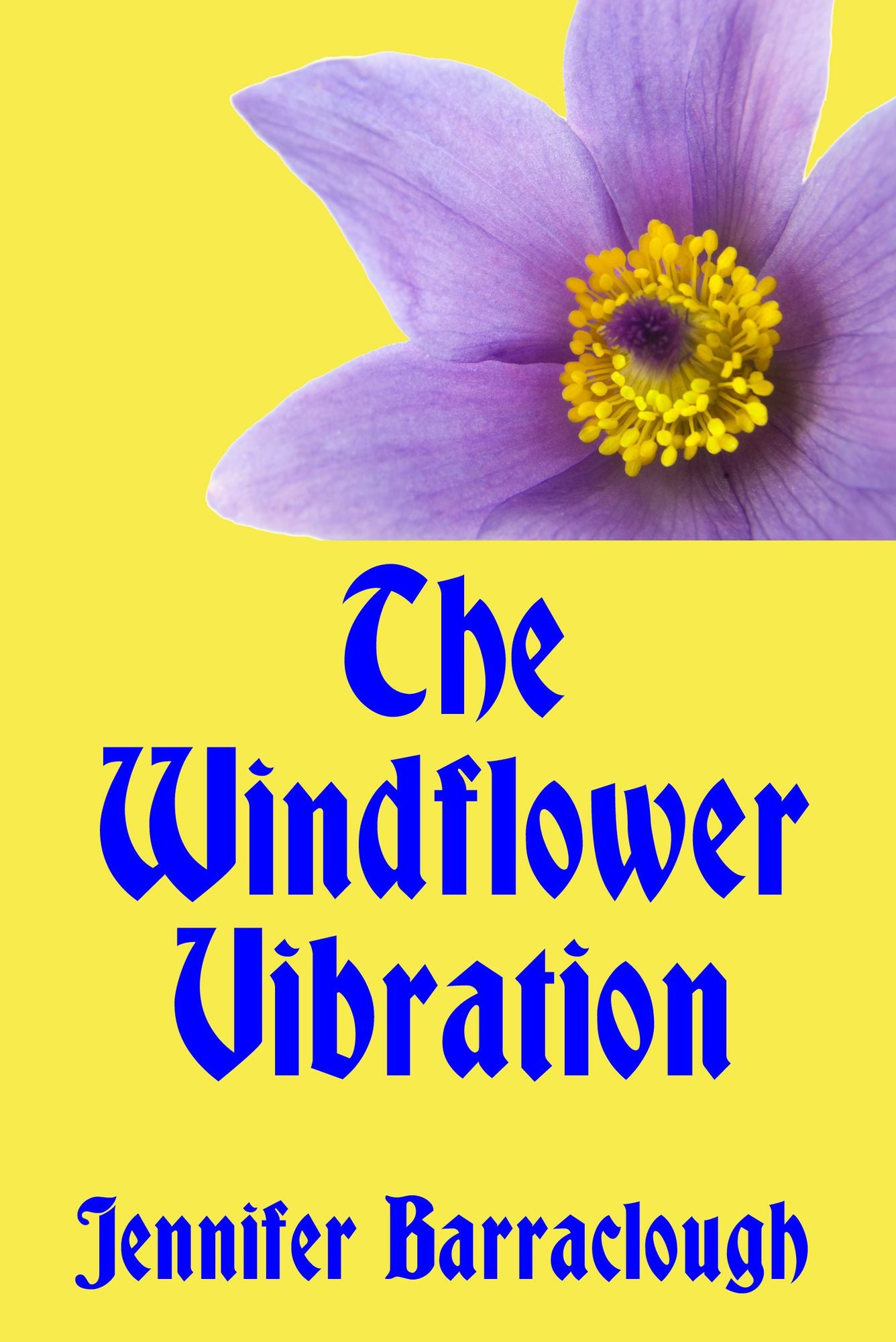 The Windflower Vibration: A Story of Mystery, Medicine, Music and Romance