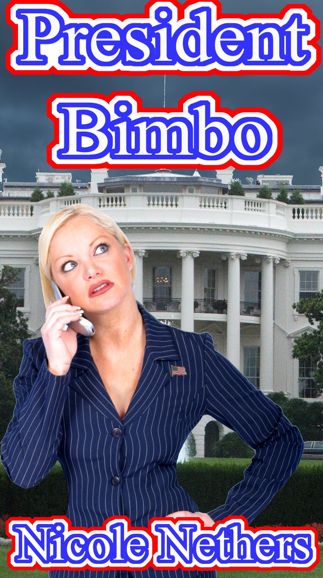 President Bimbo (Bimbofication Erotica)