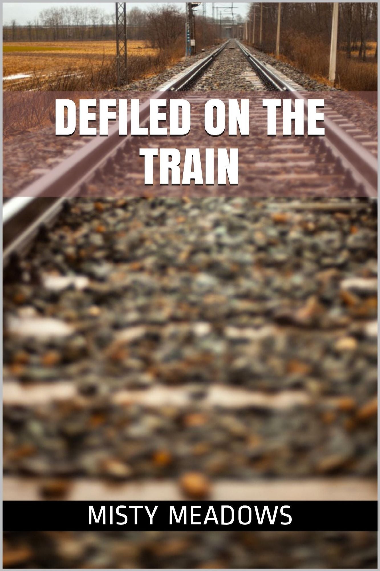 Defiled On The Train (Virgin, First Time)