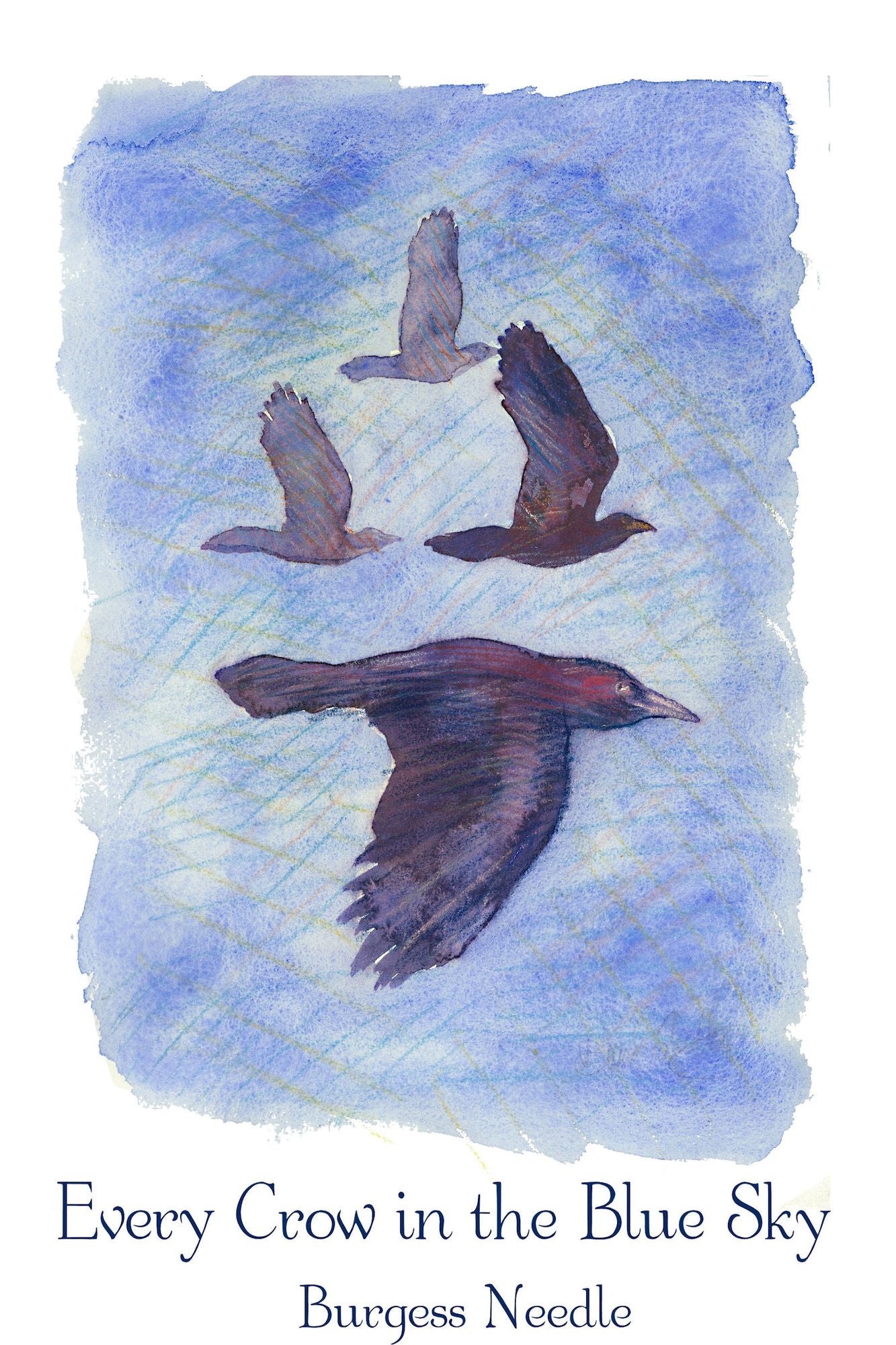Every Crow in a Blue Sky