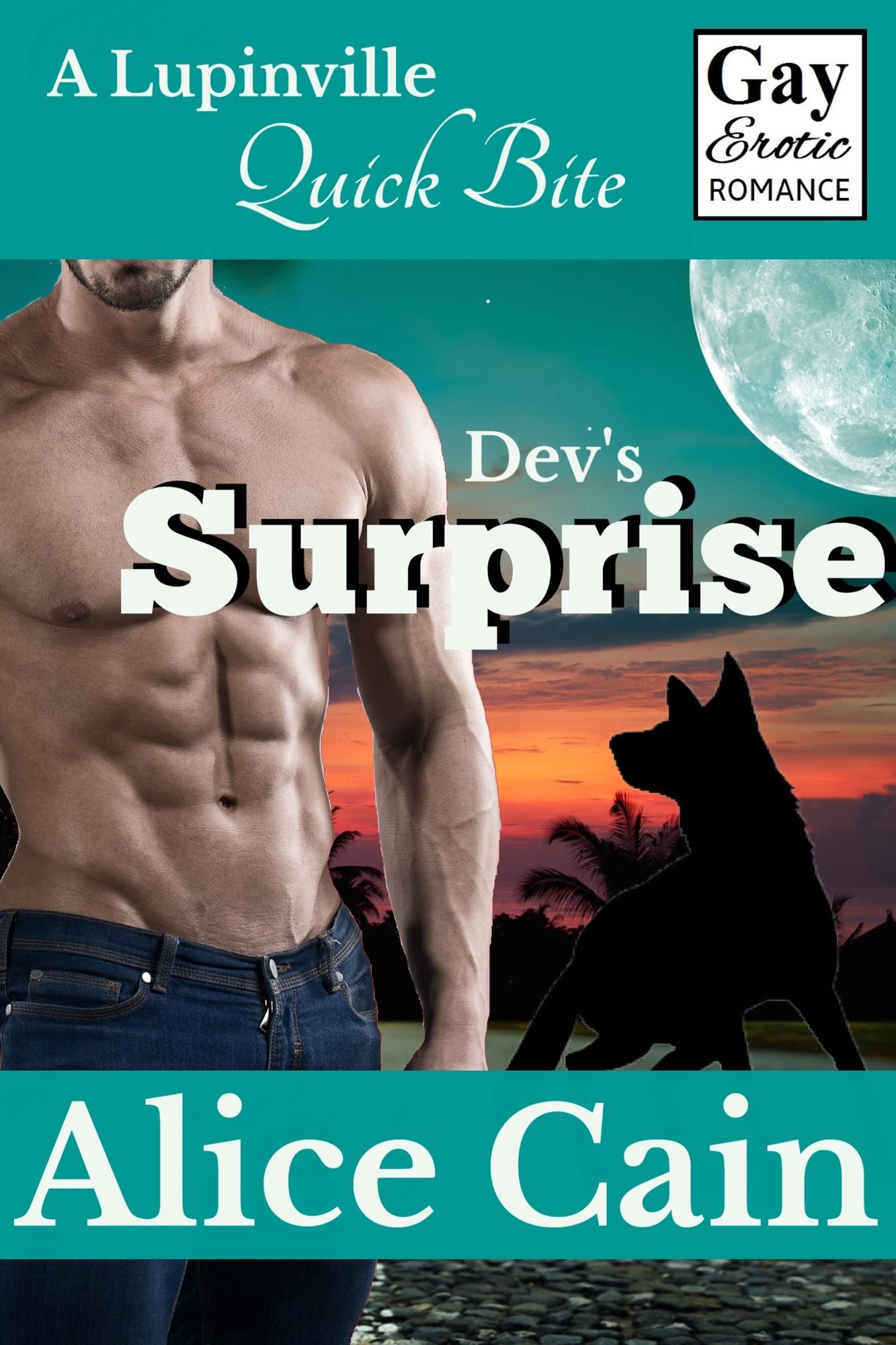 Dev's Surprise [Gay Erotic romance]