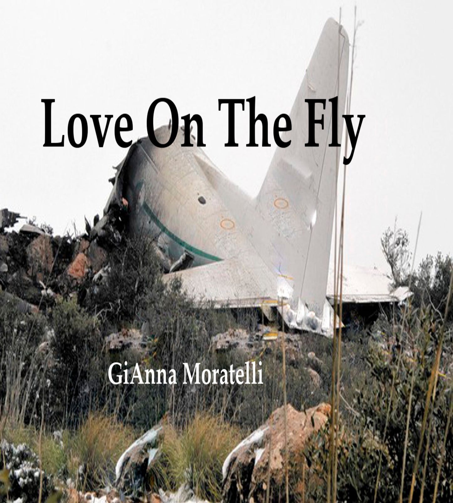 Love on the Fly