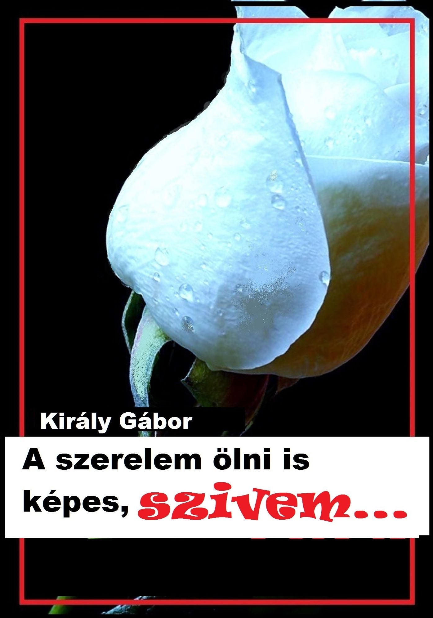 A Szerelem Ölni Is Képes, Szívem...
