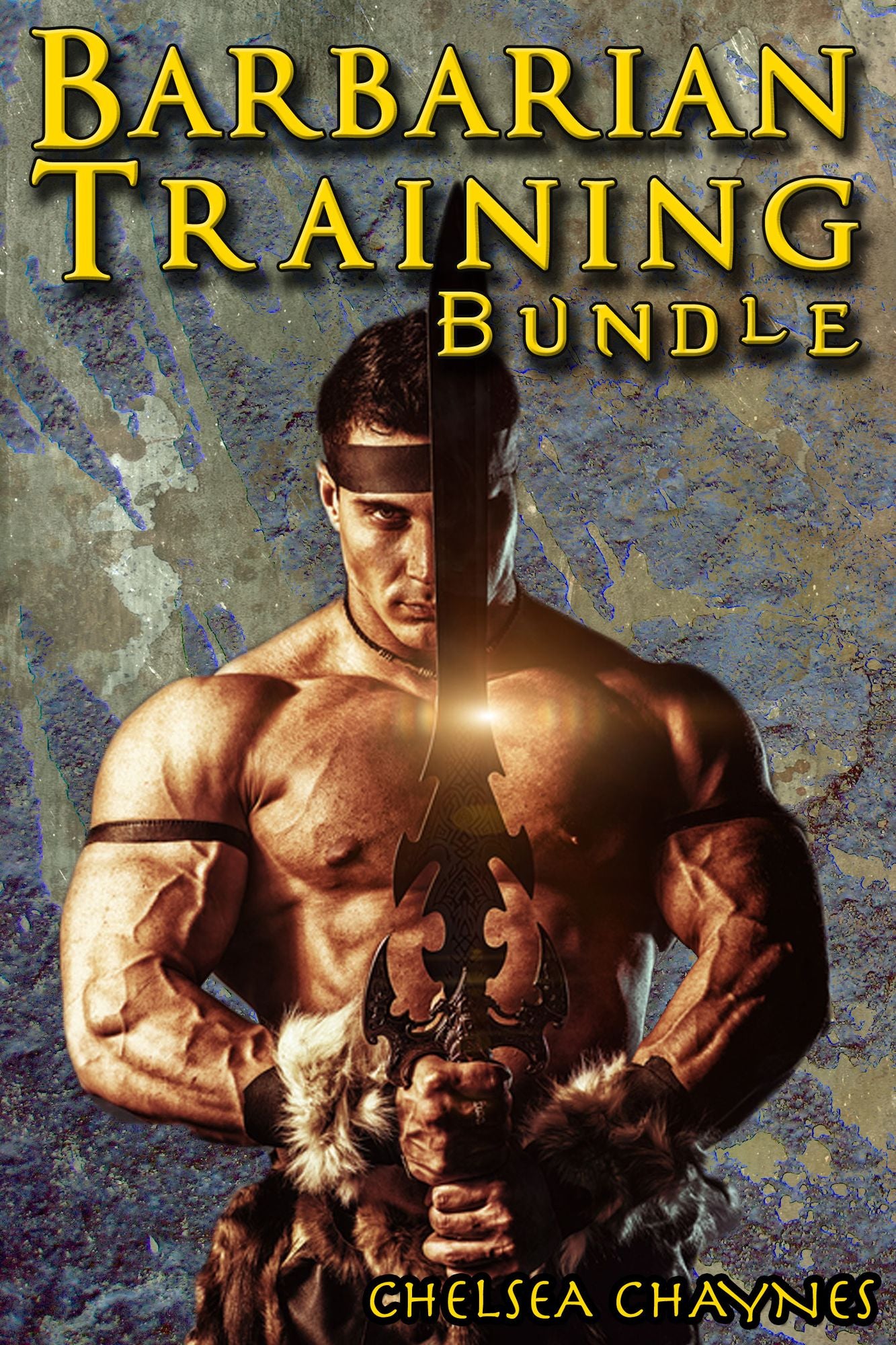The Barbarian's Training Bundle (Medieval BDSM Erotica / Barbarian Erotica)