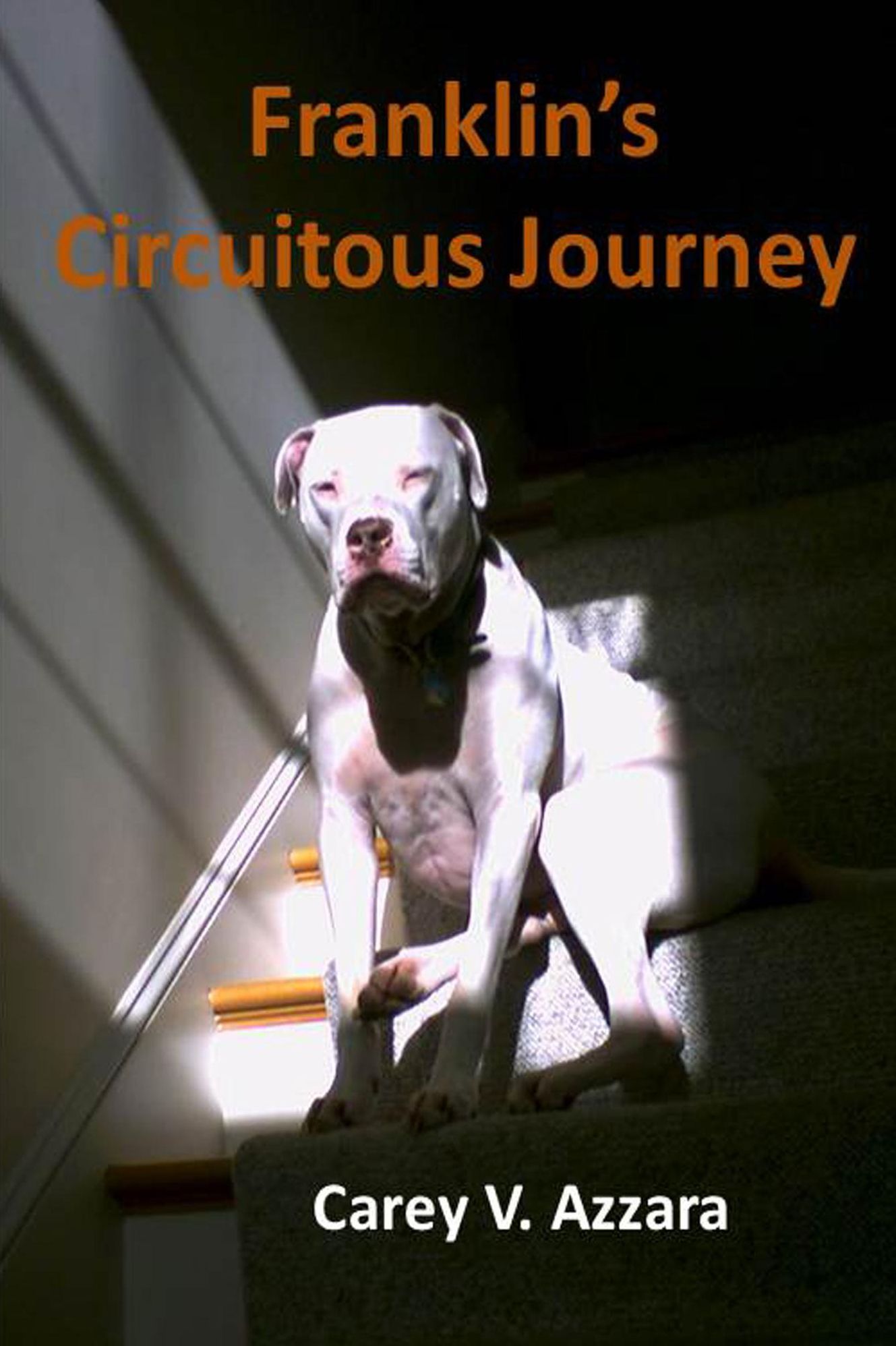 Franklin's Circuitous Journey