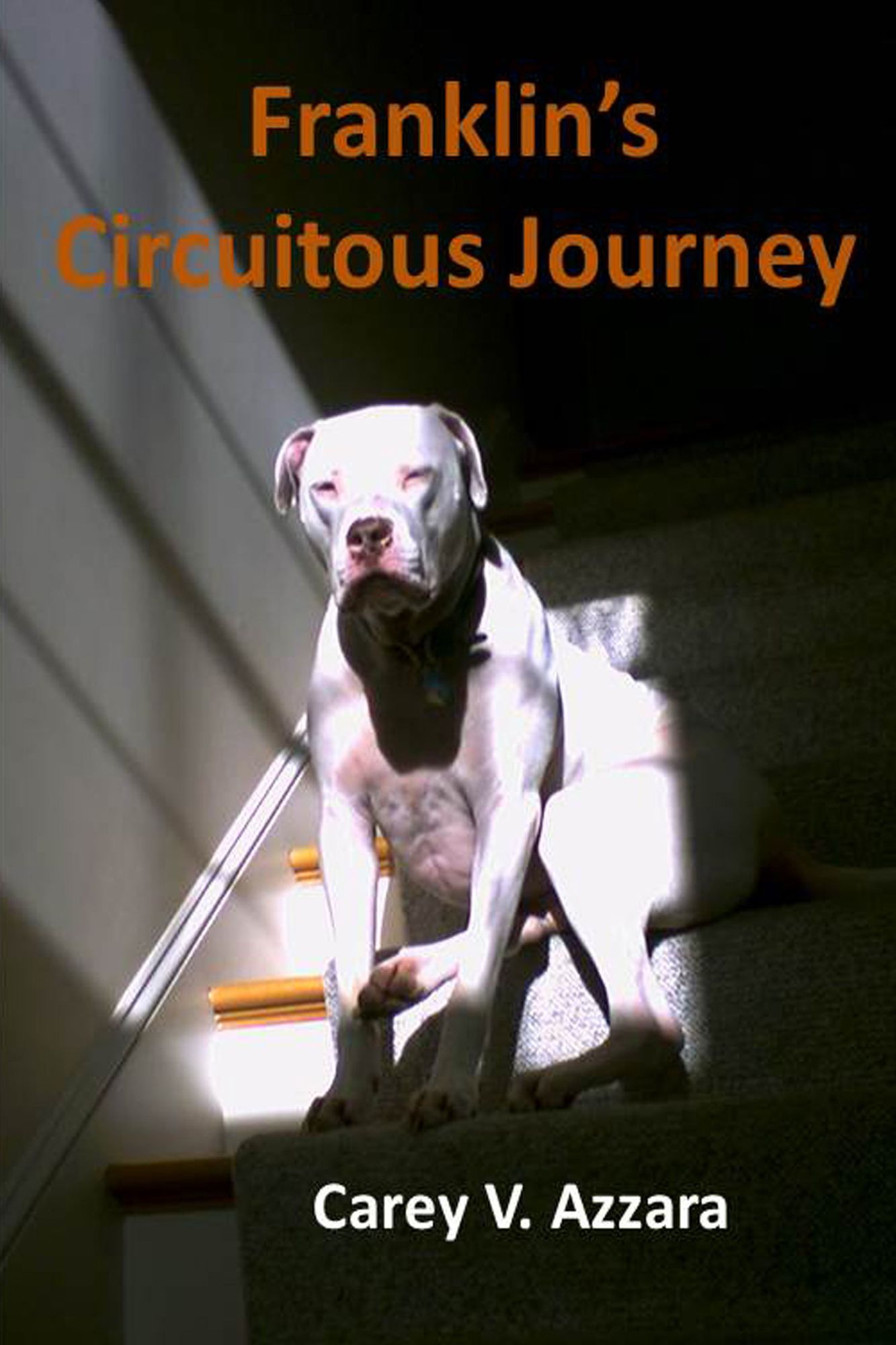 Franklin's Circuitous Journey