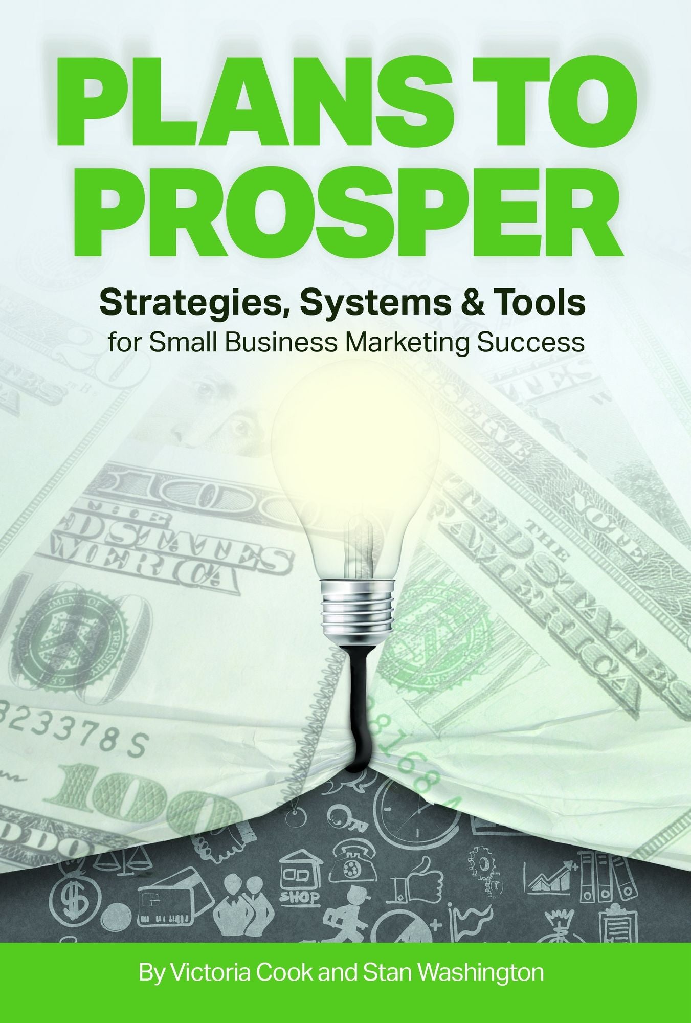 Plans to Prosper: Strategies, Systems and Tools for Small Business Marketing Success