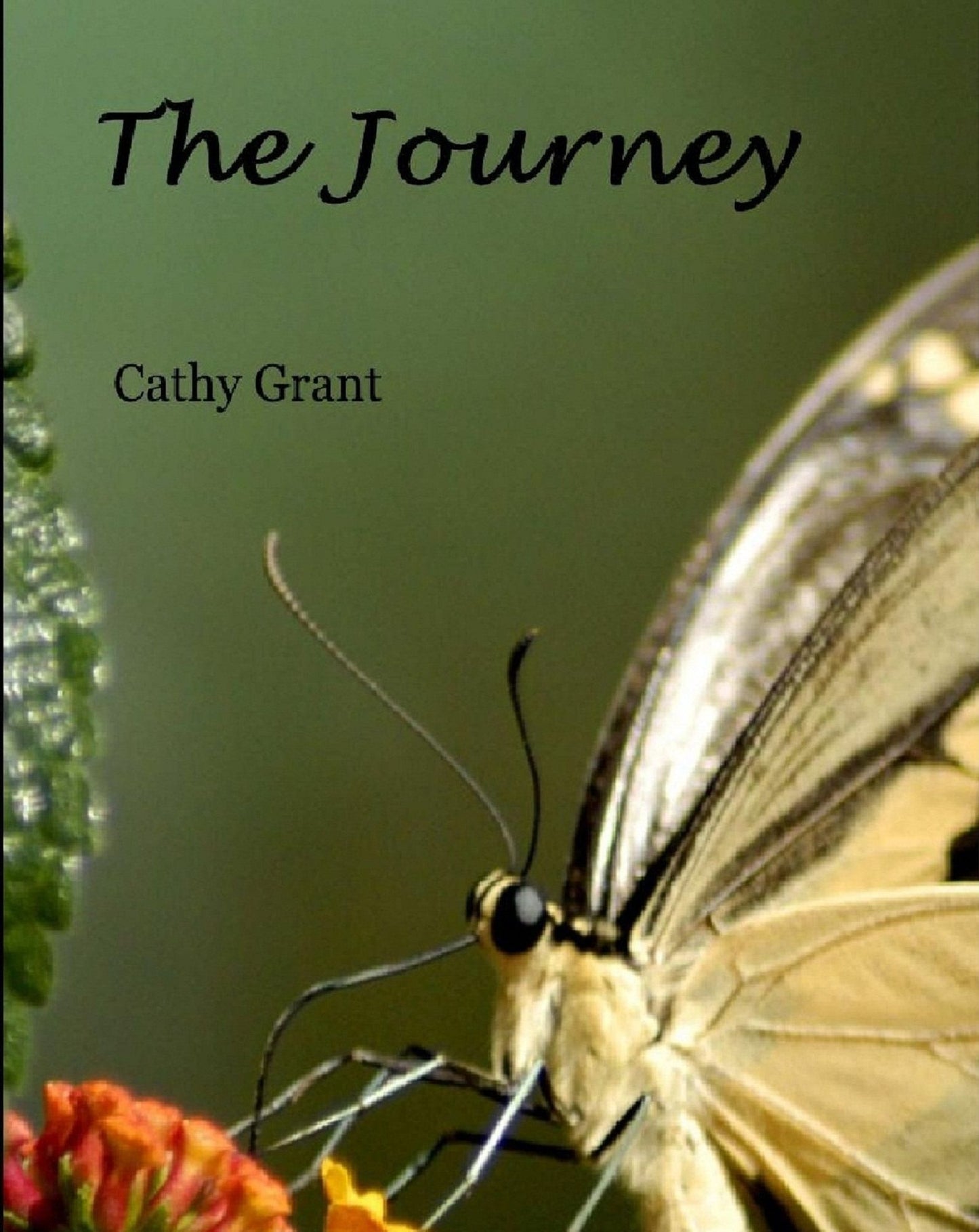 The Journey