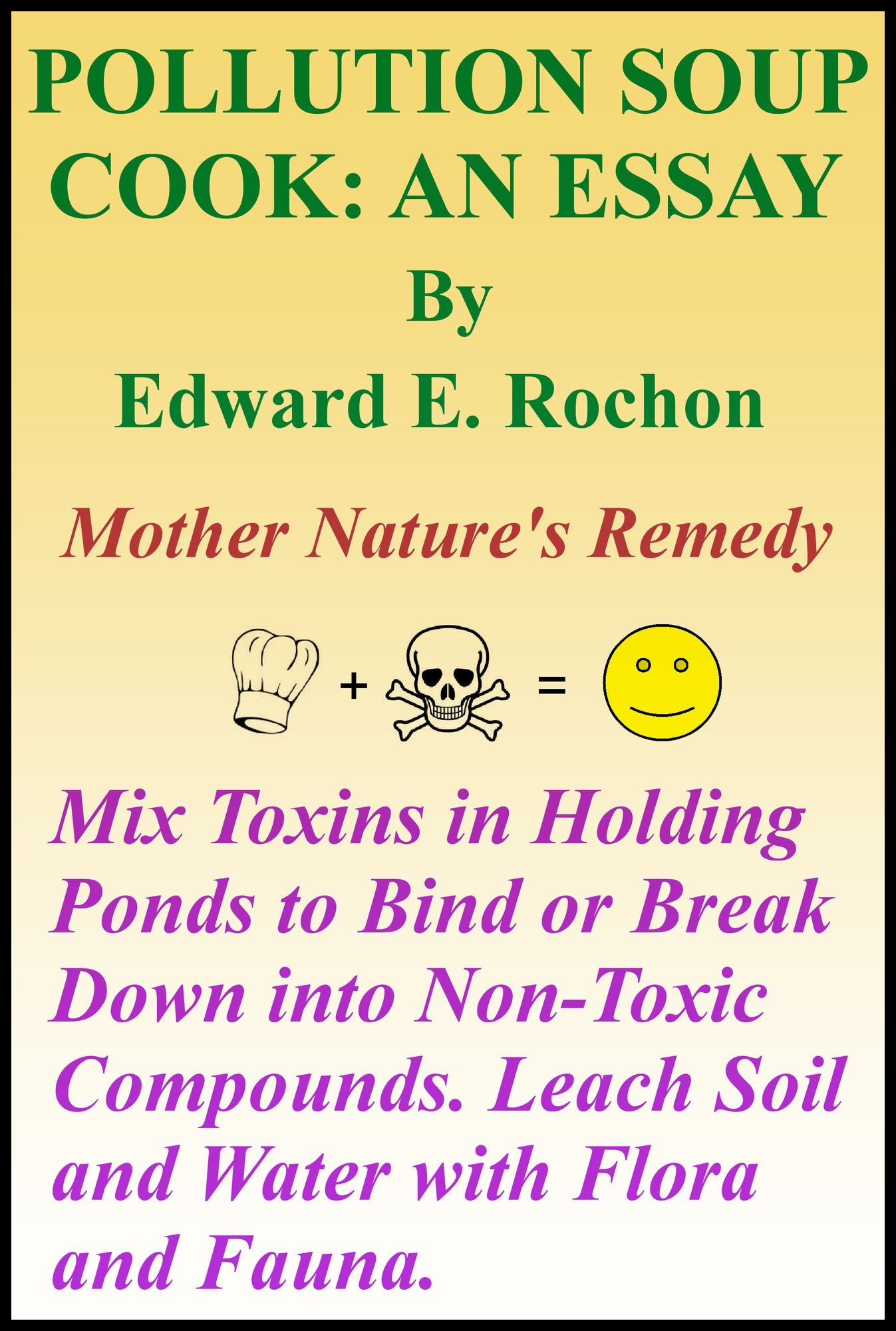 Pollution Soup Cook: An Essay
