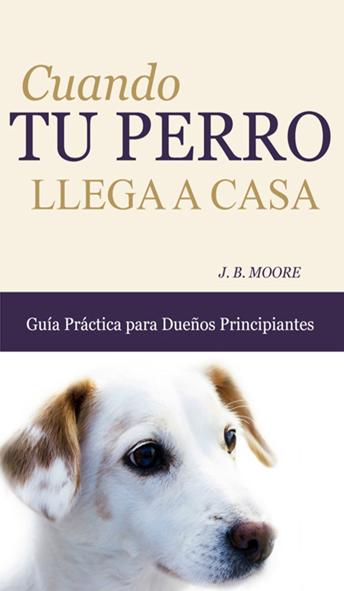 Cuando Tu Perro Llega a Casa: Guía Práctica para Dueños Principiantes