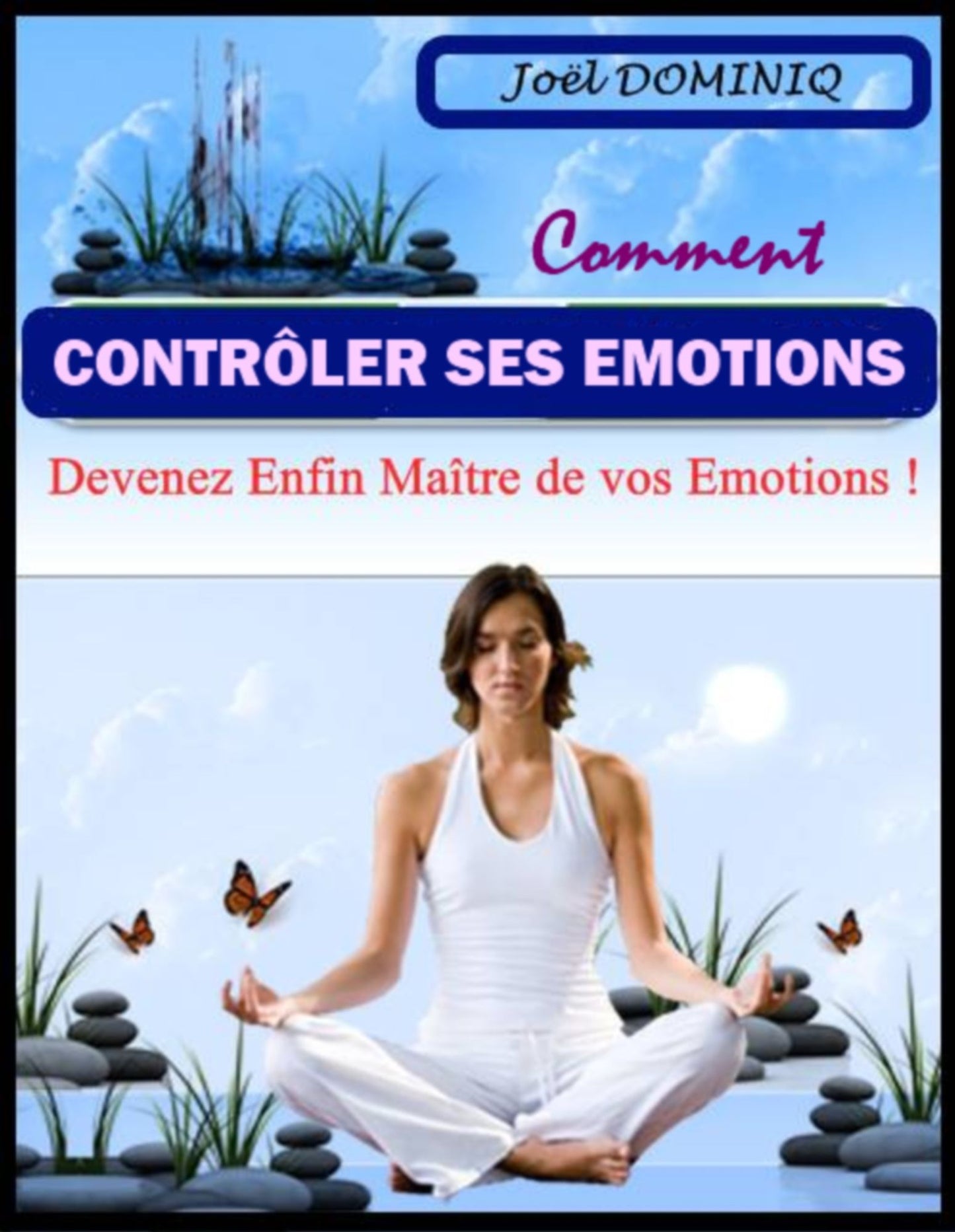Comment Contrôler Ses Emotions