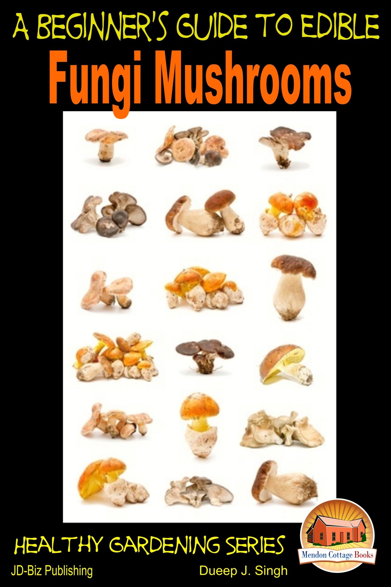 A Beginner's Guide to Edible Fungi Mushrooms