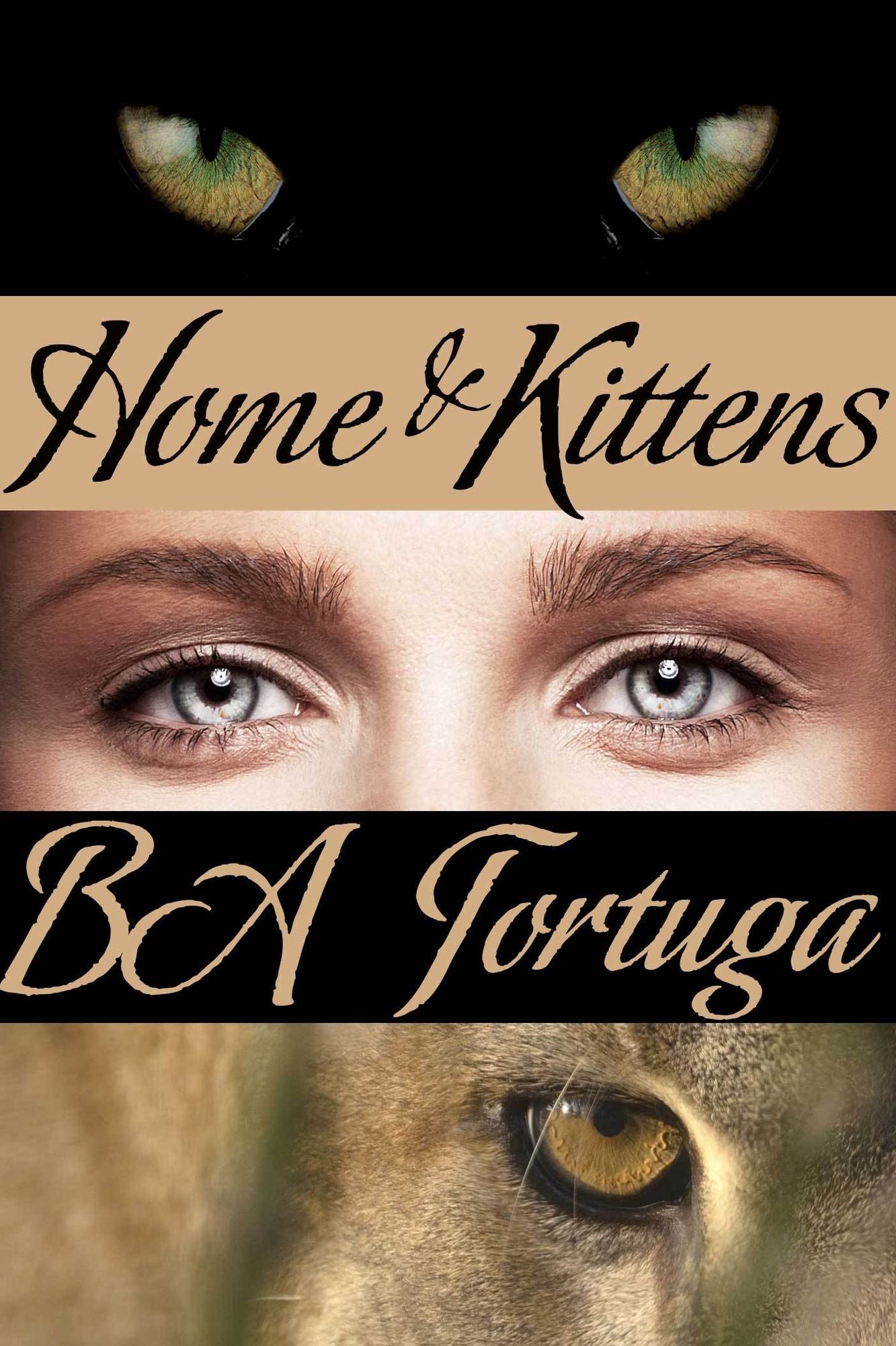 Home and Kittens