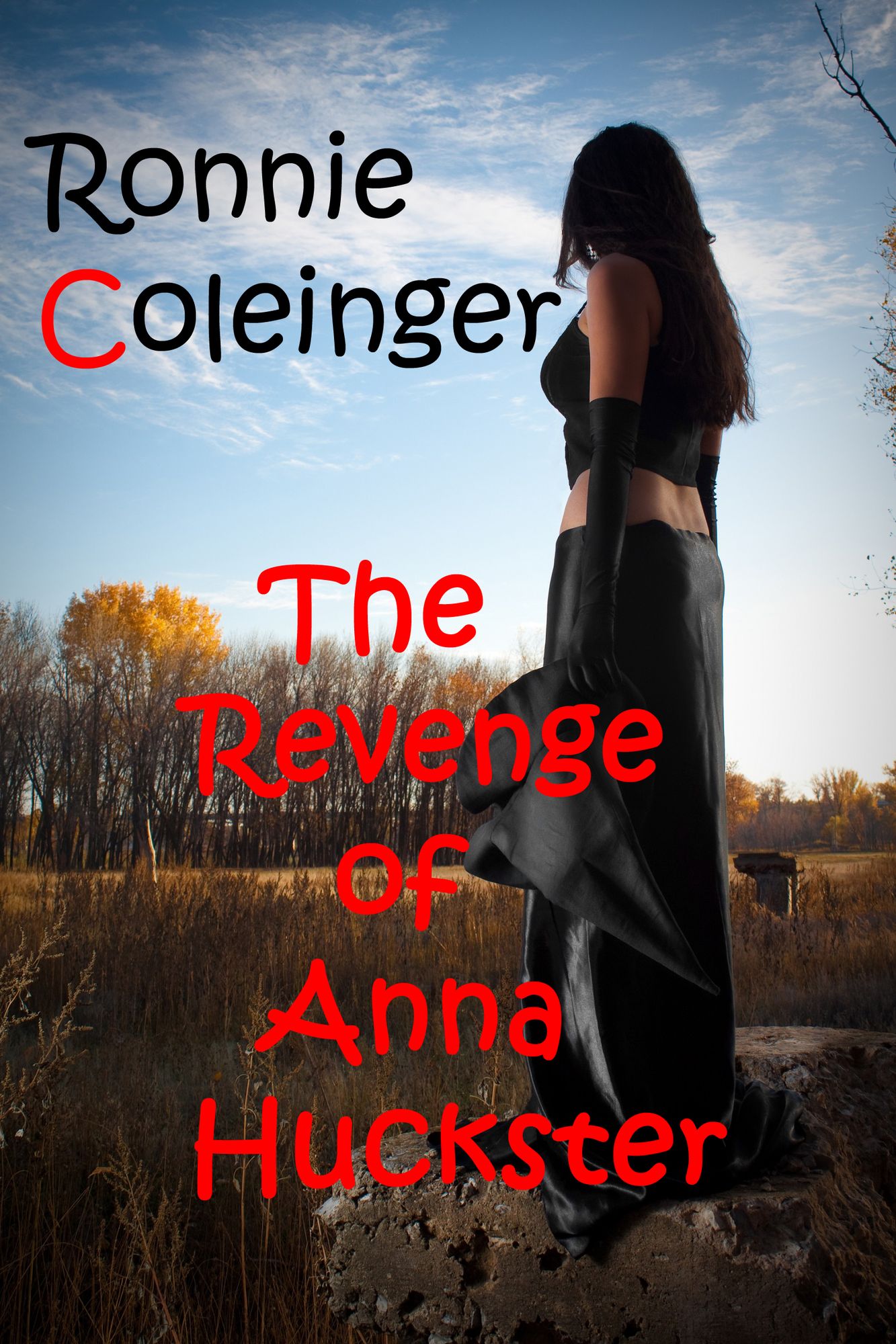 The Revenge of Anna Huckster