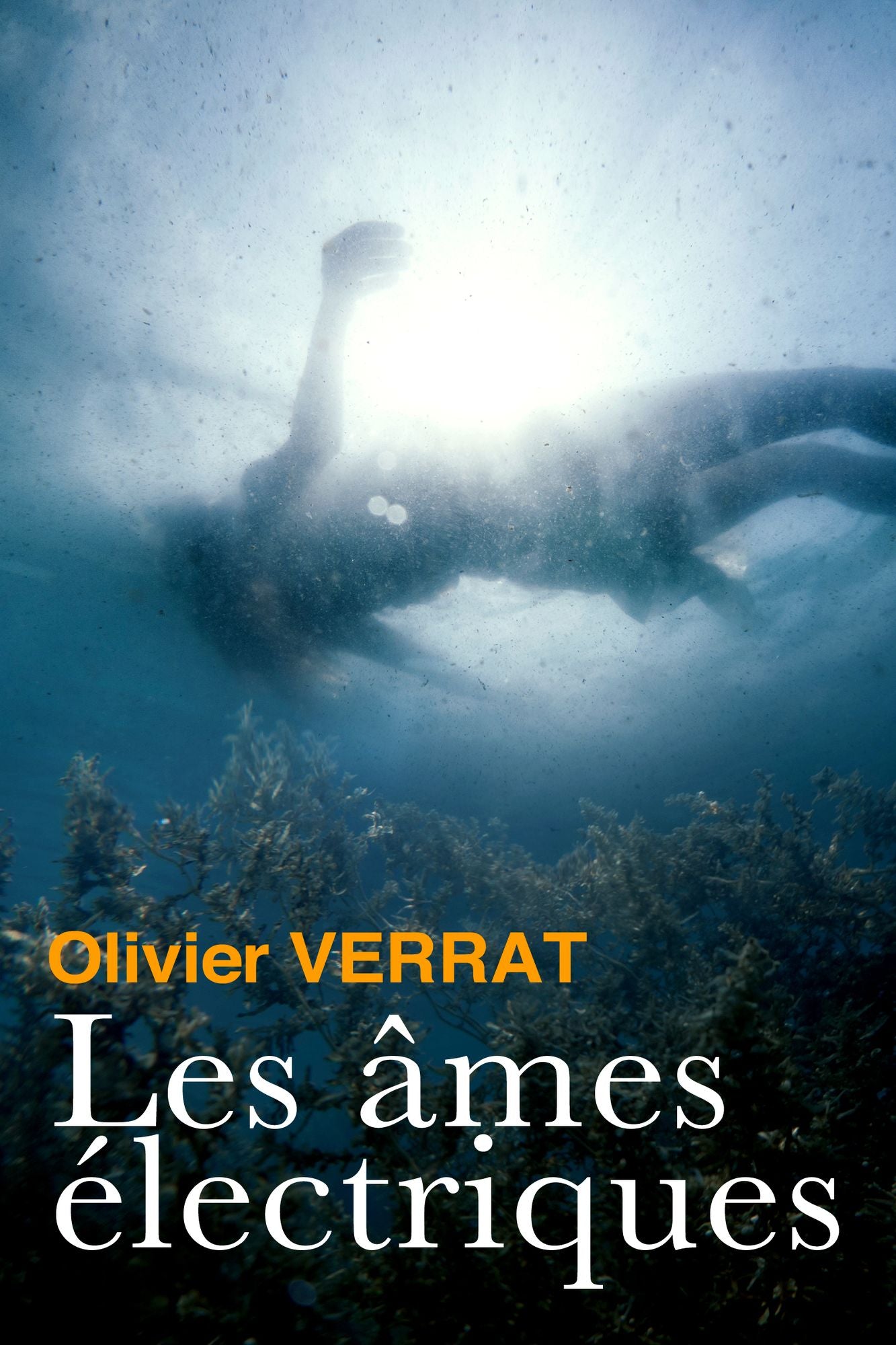 Les âmes électriques