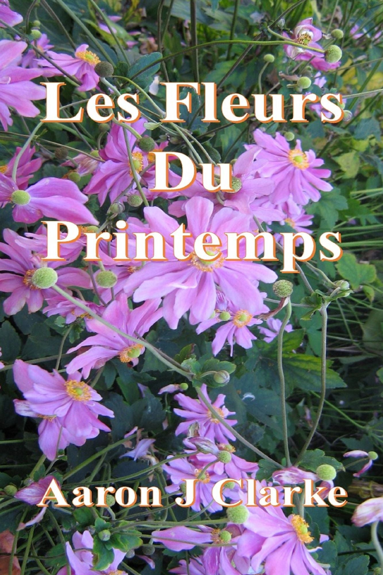 Les fleurs du printemps