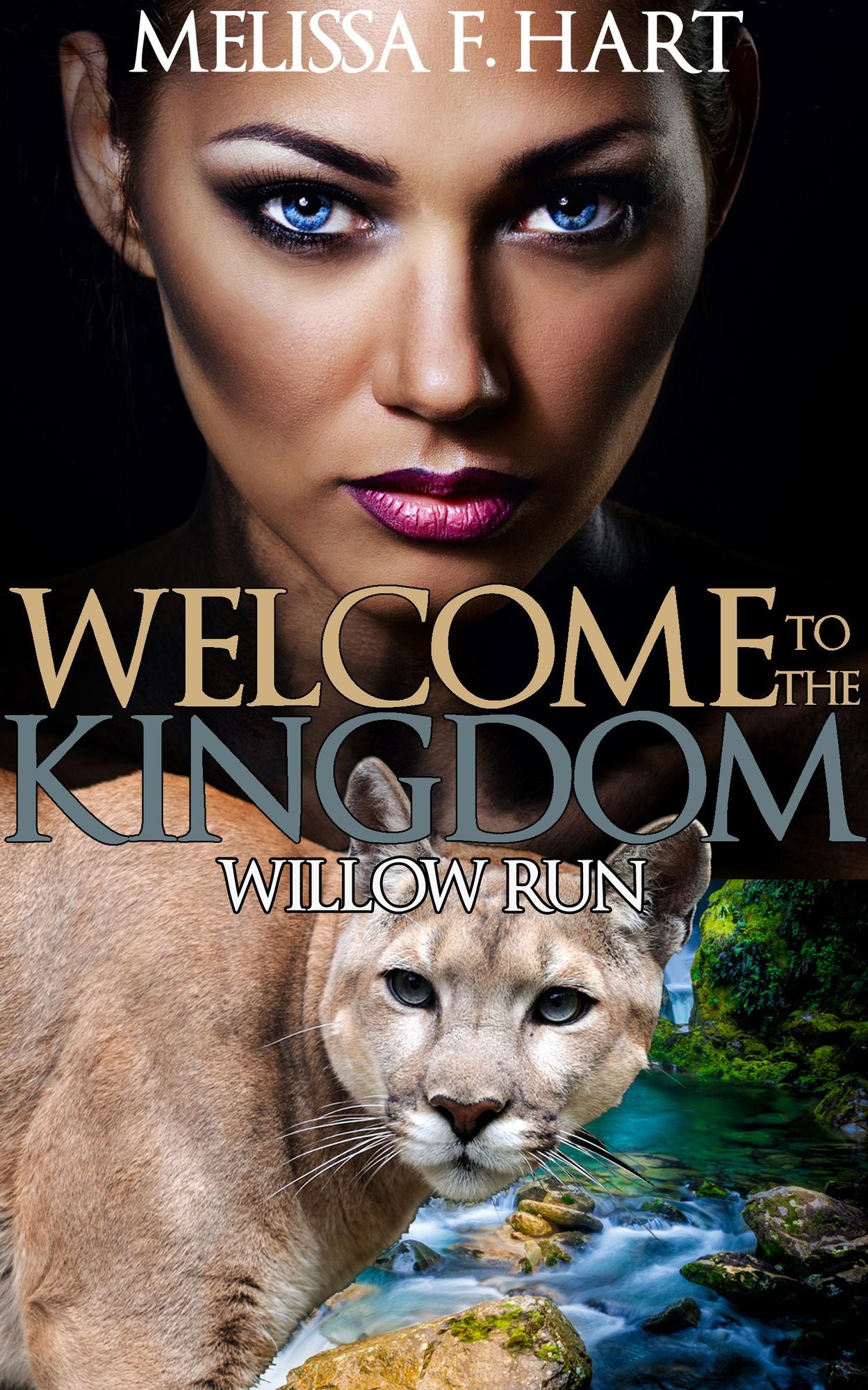 Welcome to the Kingdom