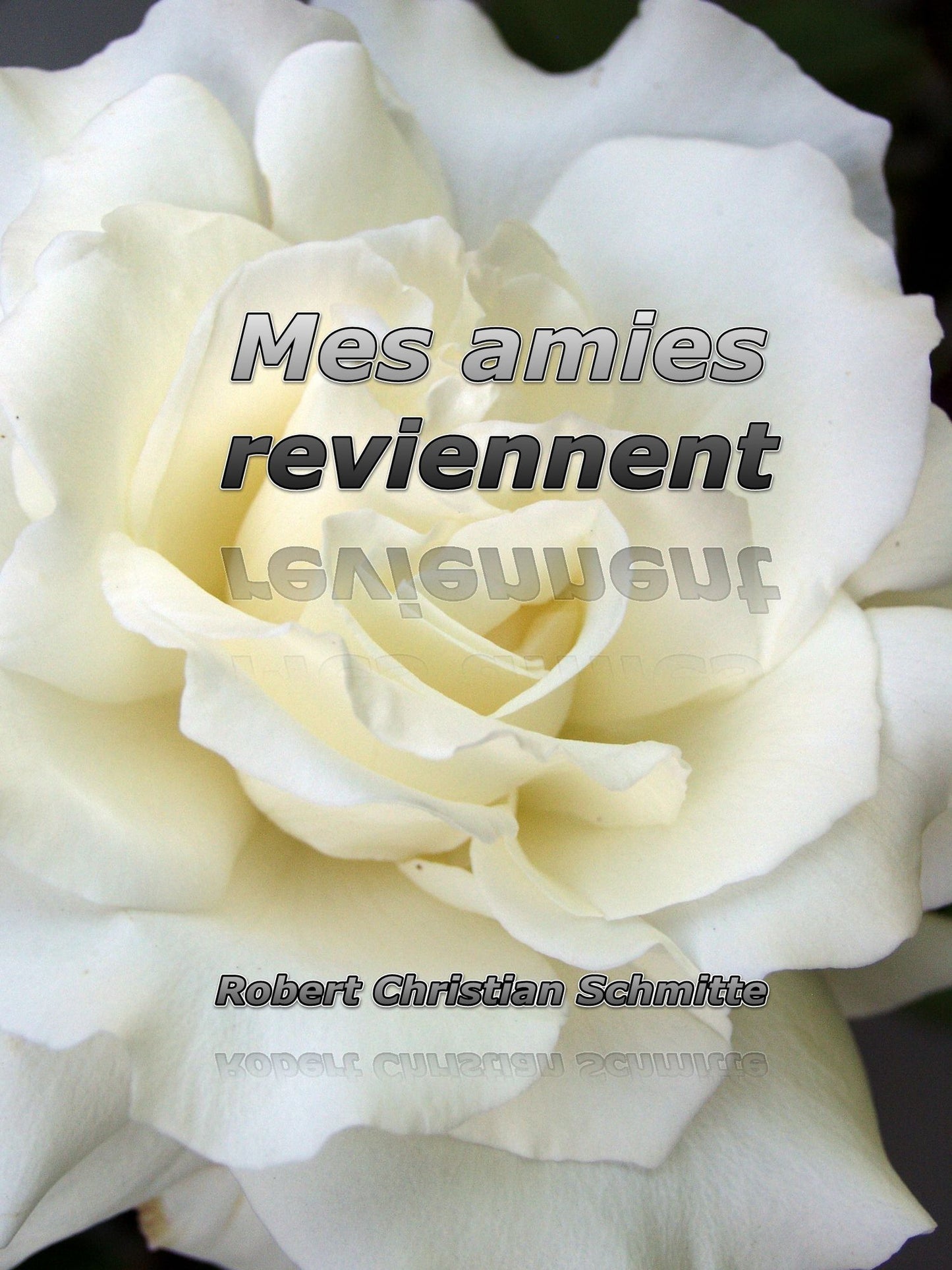 Mes amies reviennent