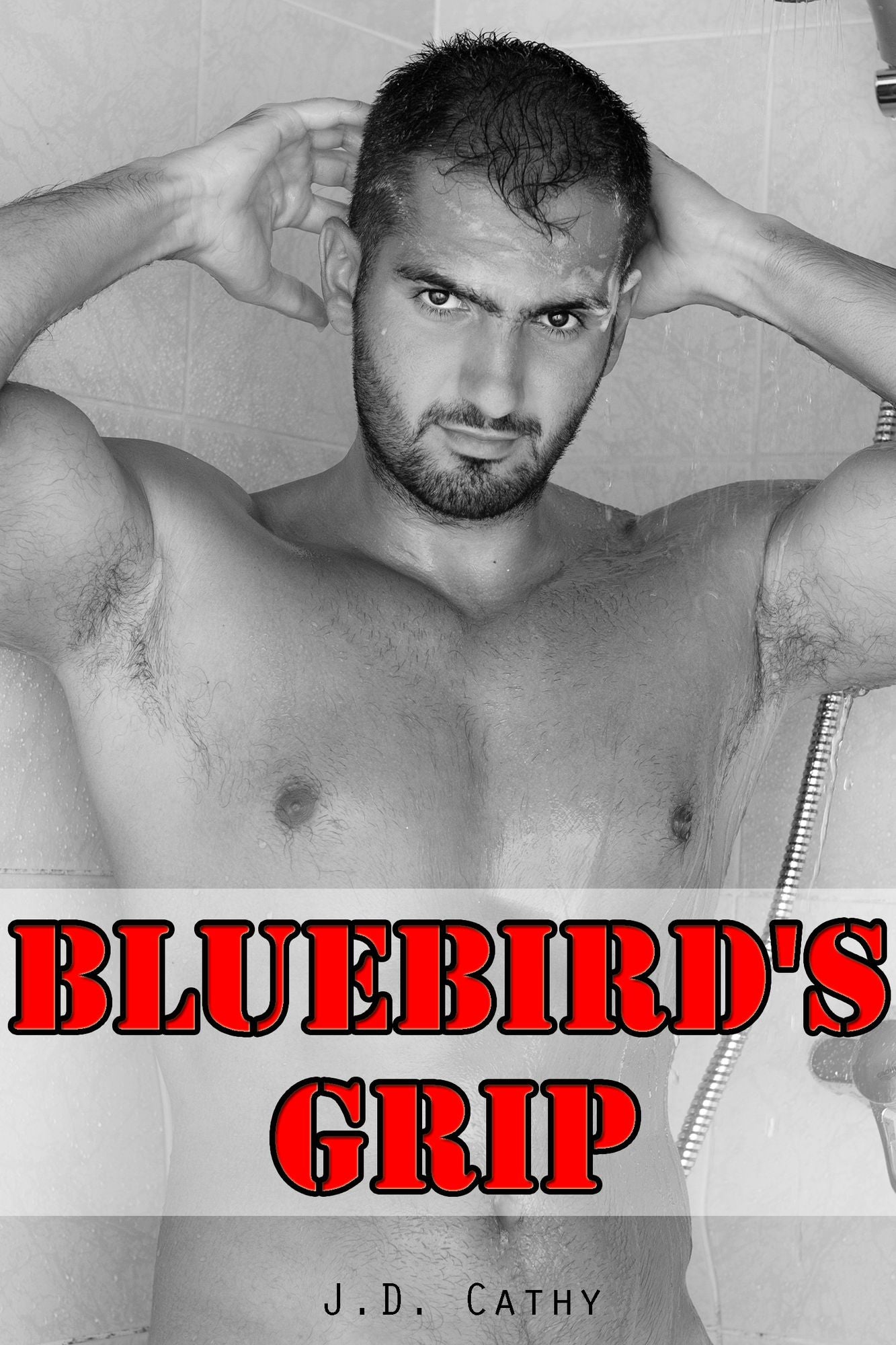 Bluebird's Grip: Gay Romance