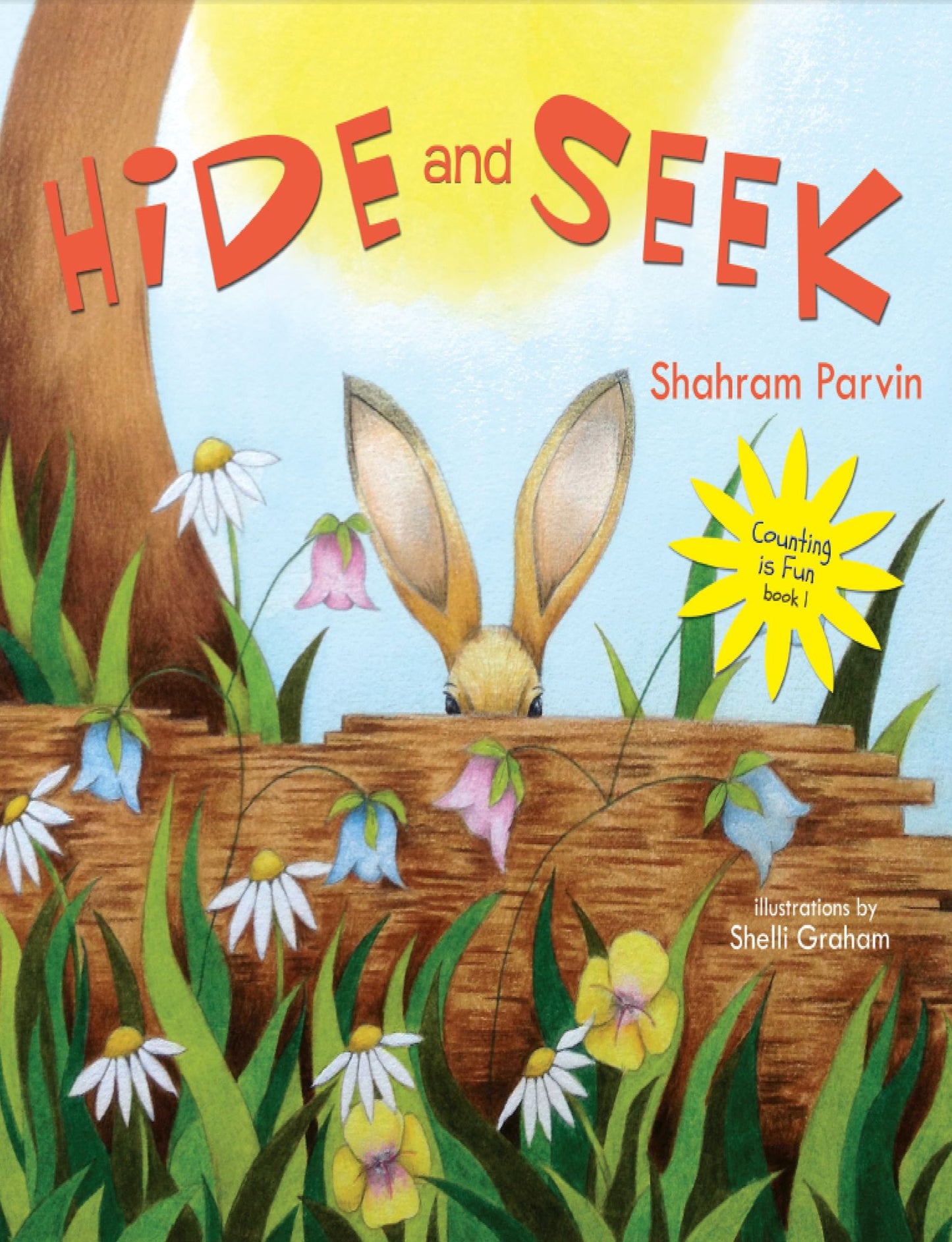 Hide and Seek: Counting is Fun book 1