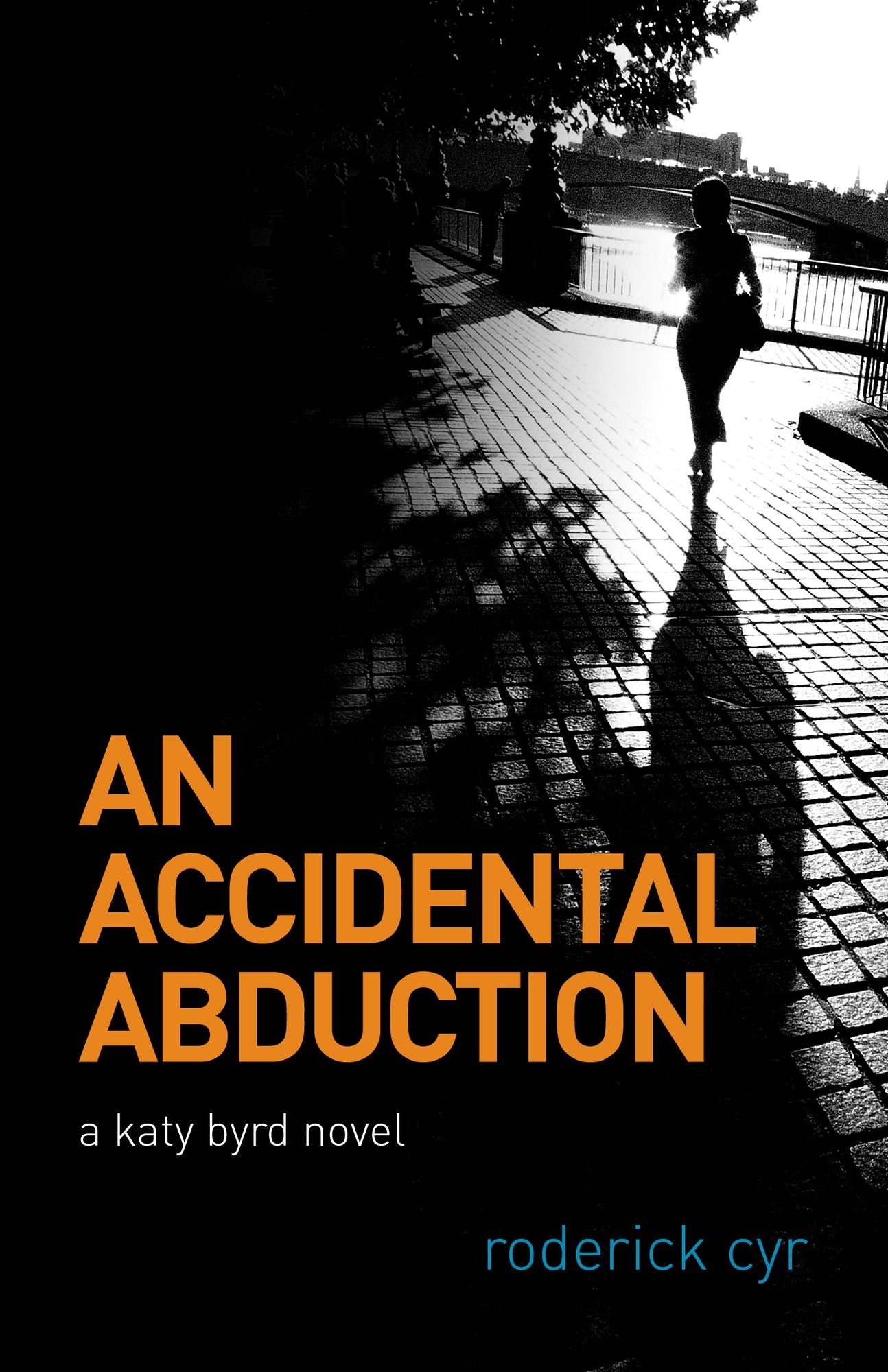 An Accidental Abduction: A Katy Byrd Novel
