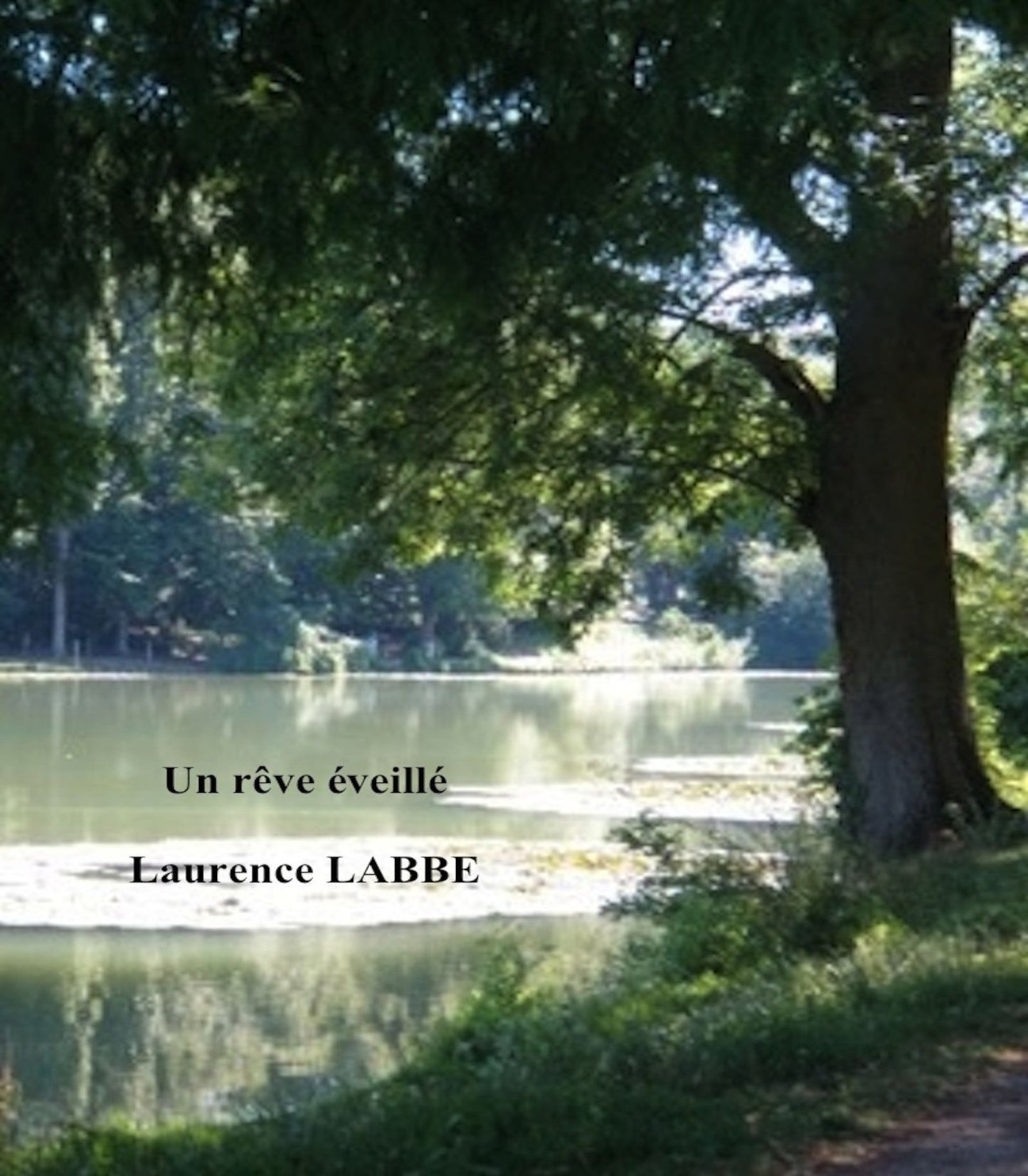 Un rêve éveillé