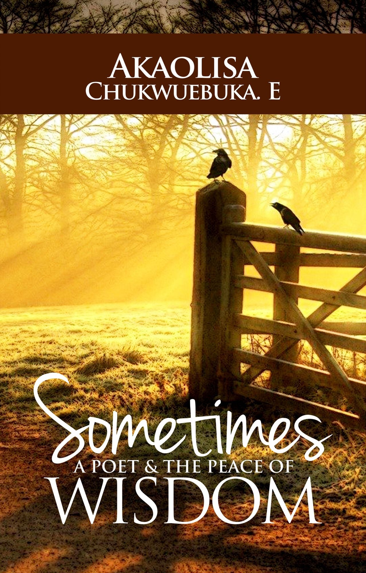 Sometimes a Poet & the Peace of Wisdom