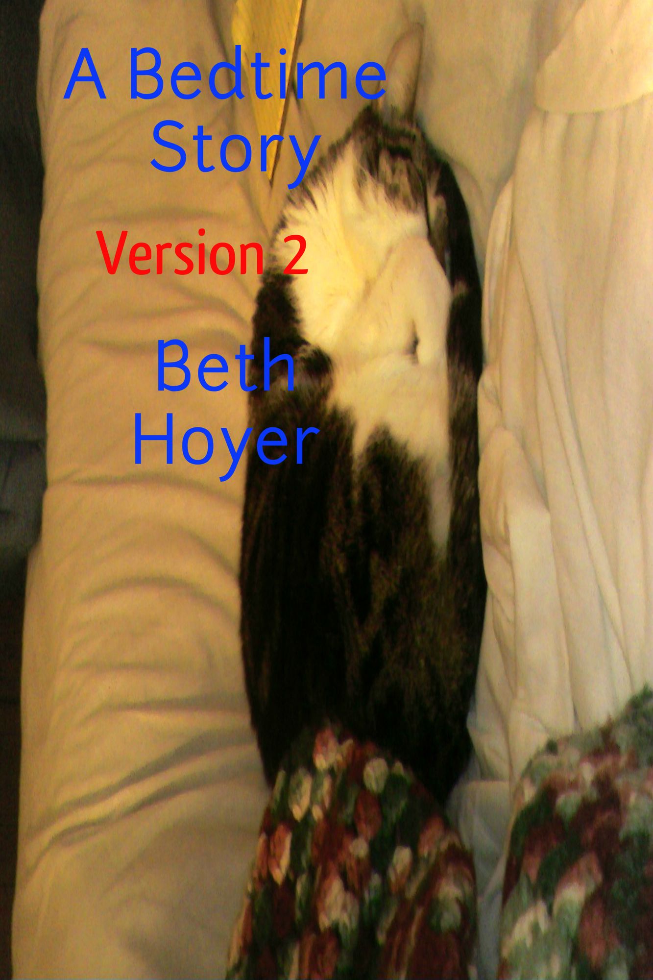 A Bedtime Story Version 2