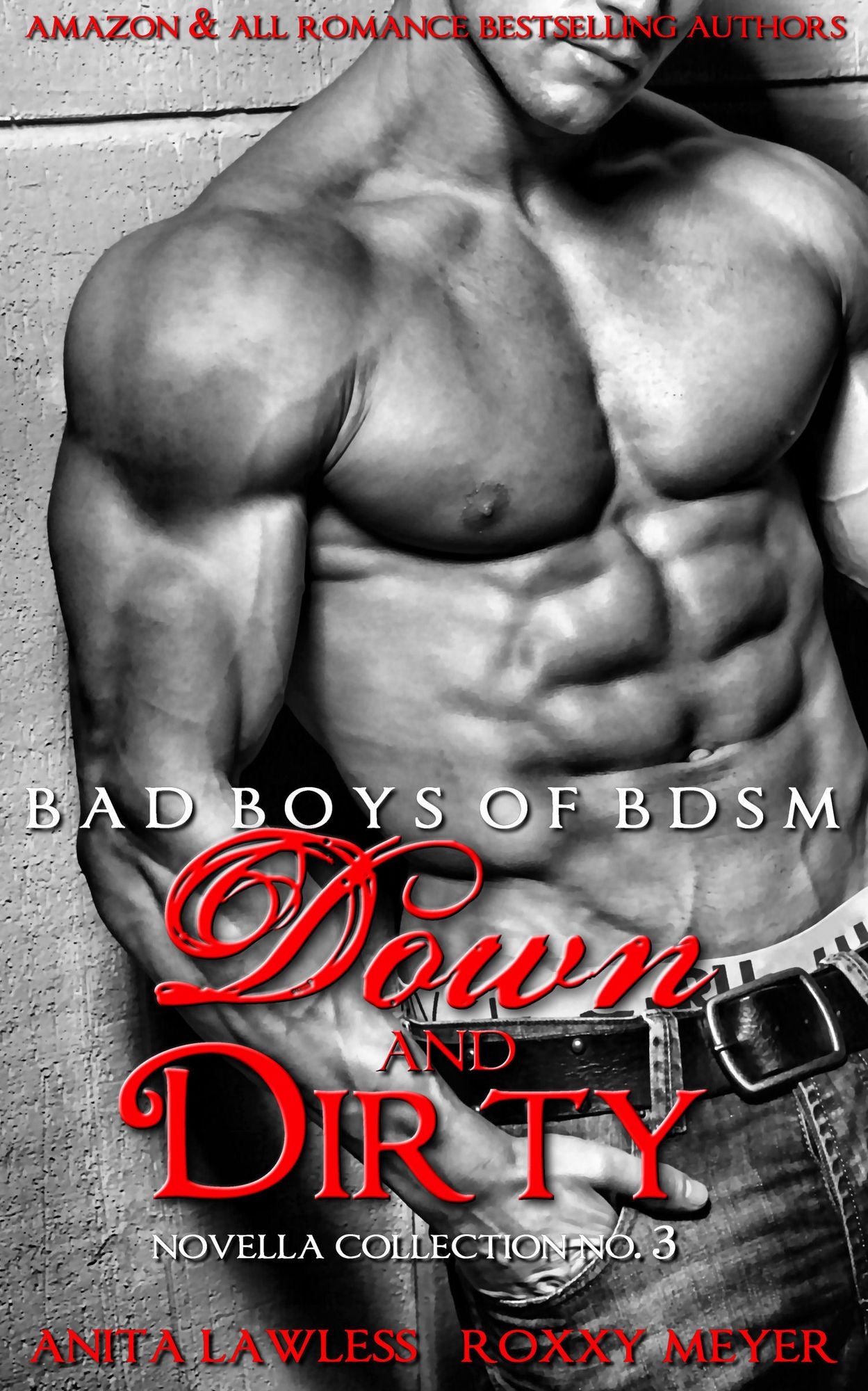 Down and Dirty: Bad Boys of BDSM Novella Collection No. 3
