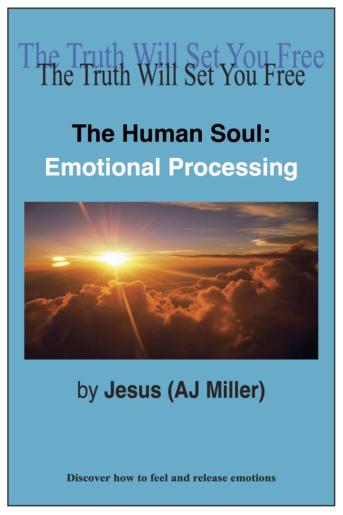 The Human Soul: Emotional Processing
