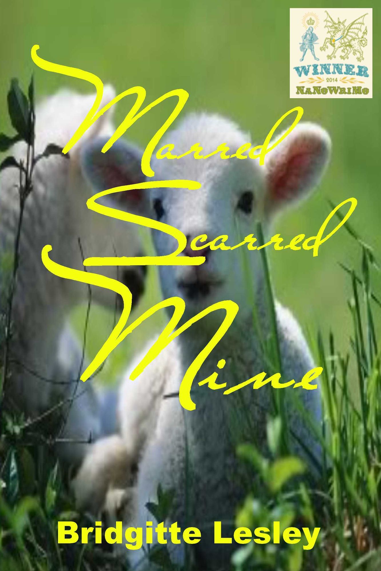 Marred Scarred Mine